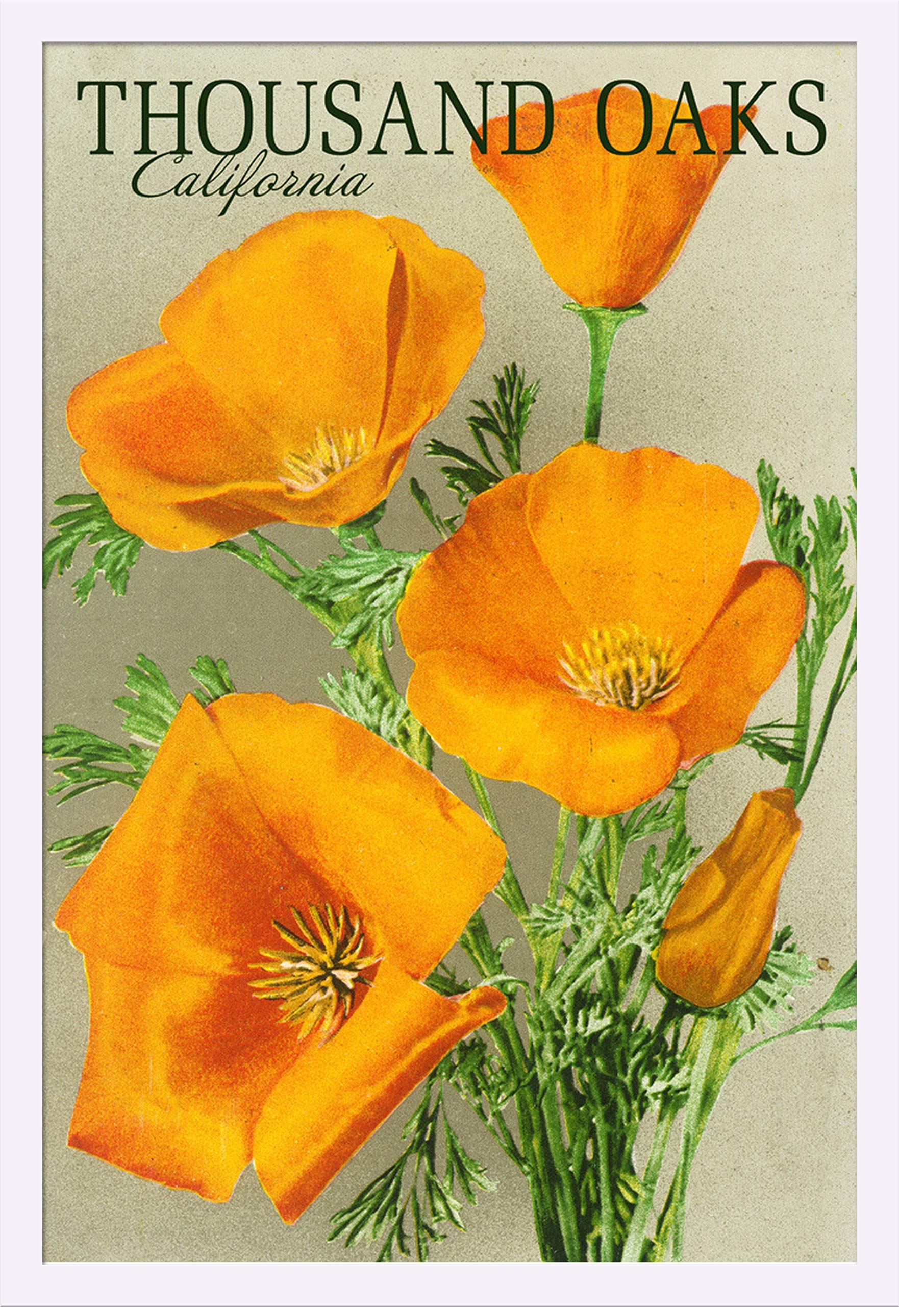 Vintage Poppy Flowers Poster - Thousand Oaks California Art Print (24x36 Giclee, Gallery Framed in White Wood) - Perfect for Home Decor, Office Wall Art & Gift Ideas