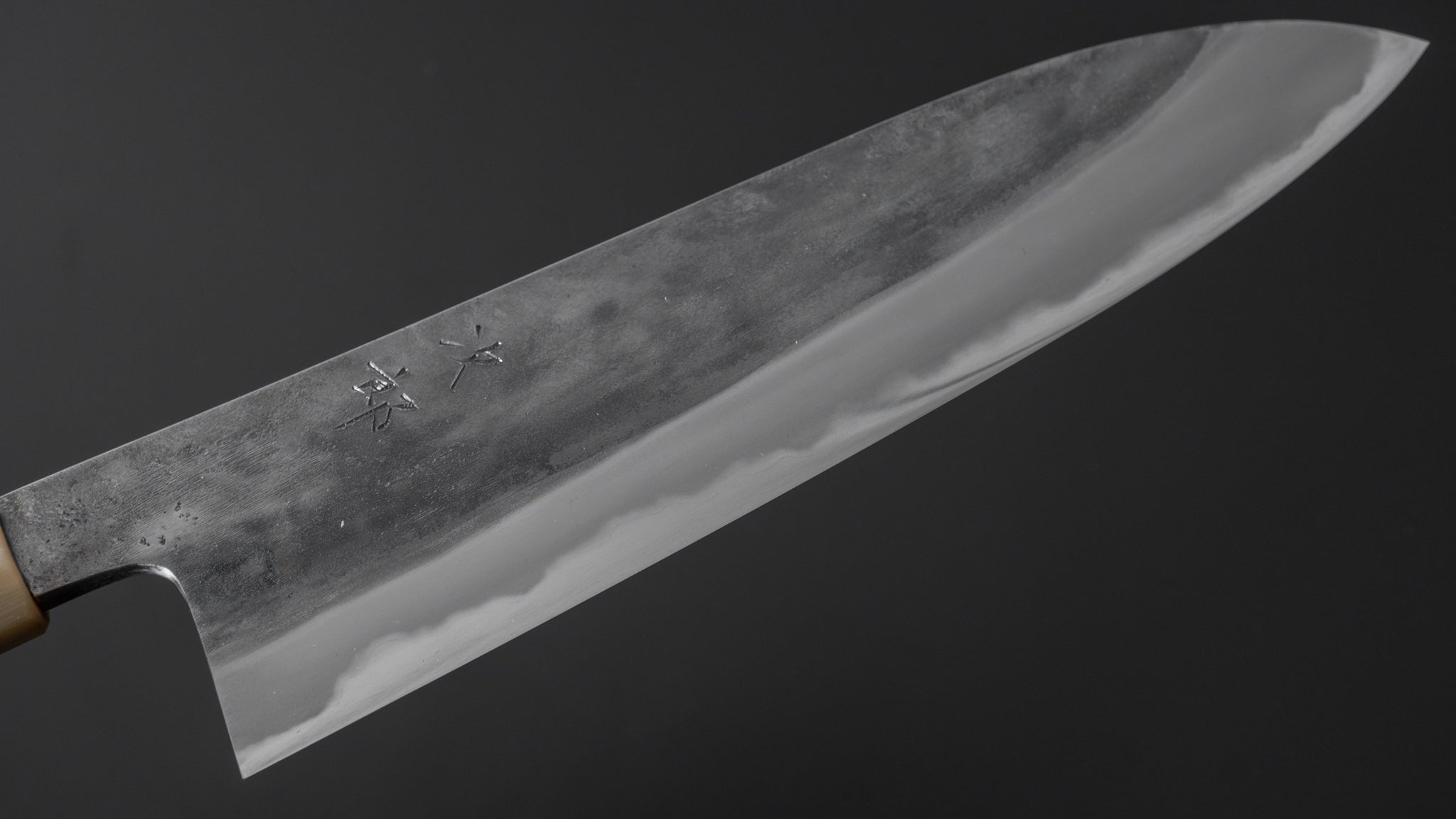 Premium Jiro Tsuchime Wa Gyuto 240mm Japanese Chef Knife - Taihei Tagayasan Handle (#305) - Perfect for Sushi, Meat Cutting & Professional Kitchen Use