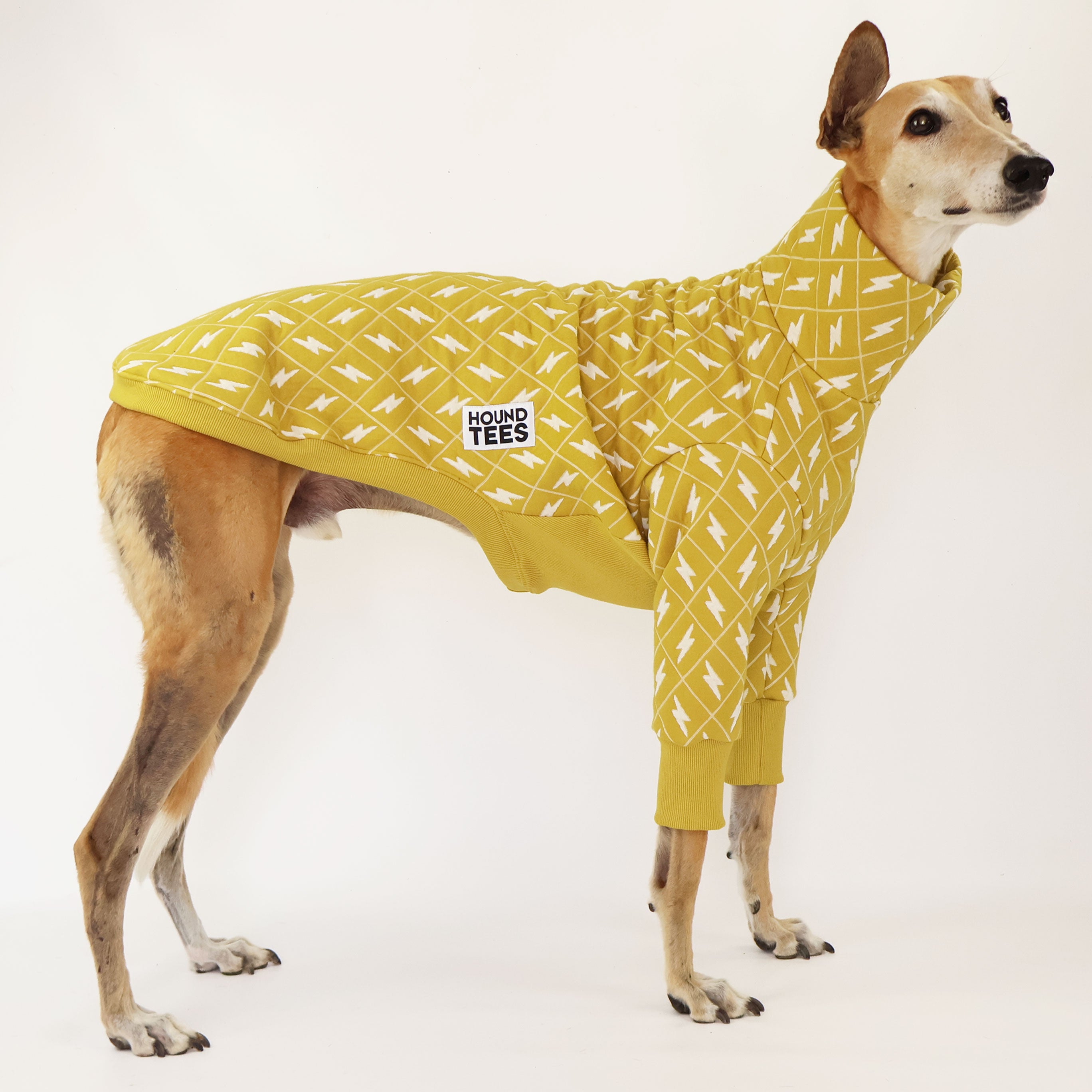 Spark Greyhound Quilted Sweater for Women - Cozy Winter Pullover with Stylish Diamond Stitch Pattern | Perfect for Casual Outings, Office Wear & Cold Weather Fashion