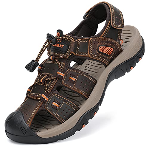 C-darkbrown