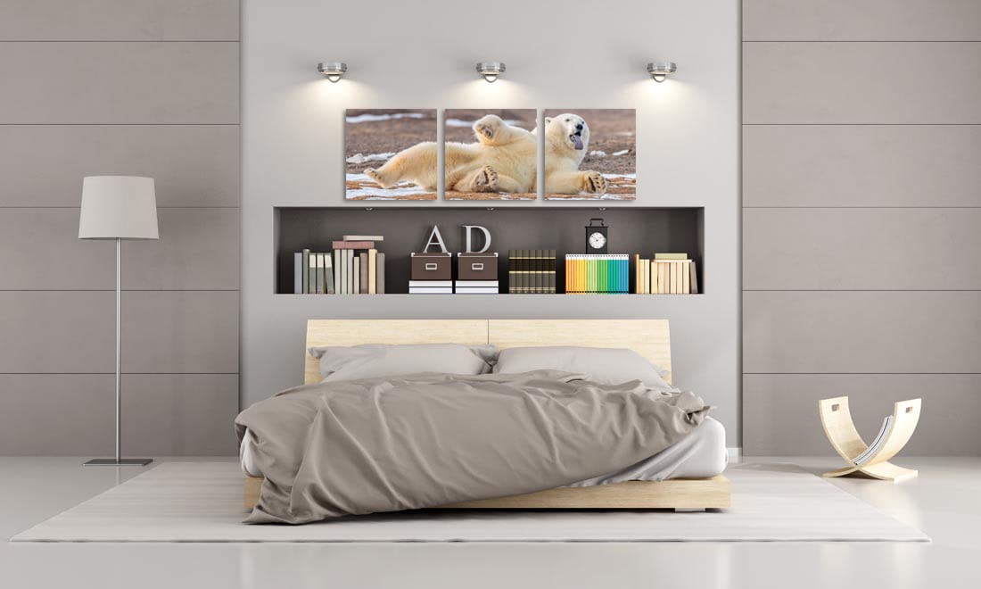 Funny Polar Bear Wall Art Canvas - 3-Piece Framed Prints 20x20 Inches - Cute Bear Pictures for Home, Office, Living Room, Bedroom & Kitchen Decor | Perfect Gift for Animal Lovers & Nursery Wall Decor