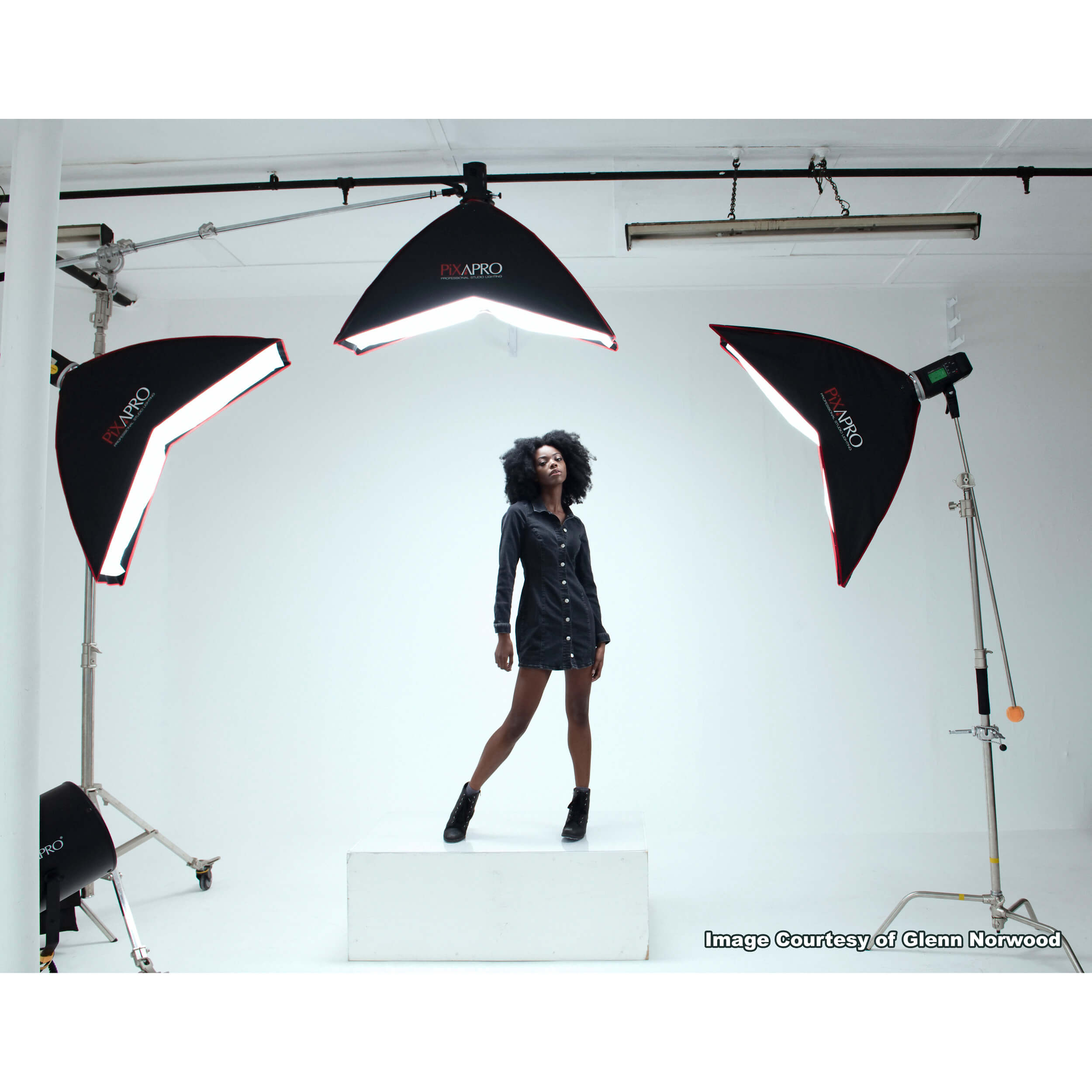 35x120cm (13.7x47.2) Arc Strip Umbrella Softbox - Professional Photography Lighting Diffuser for Studio Portraits, Product Shoots & YouTube Videos