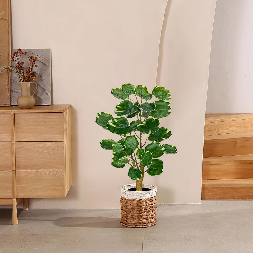 2ft Artificial Aralia Balfour Tree in Black Pot - Fake Polyscias Fabian Plant for Home & Office Decor - Realistic Faux Potted Plant for Living Room, Bedroom, and Workspace