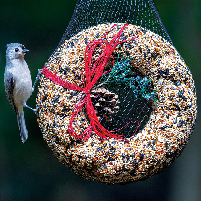 WildFeast Premium Bird Seed Wreath - Nutritious Wild Bird Food for Outdoor Feeding - Perfect for Backyard Birdwatching & Garden Decoration