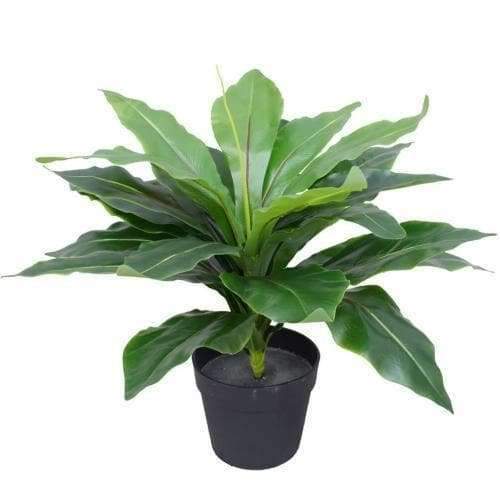 50cm Artificial Potted Wide Leaf Birds Nest Fern Plant - Realistic Fake Greenery for Home Decor, Office, Living Room & Indoor Spaces