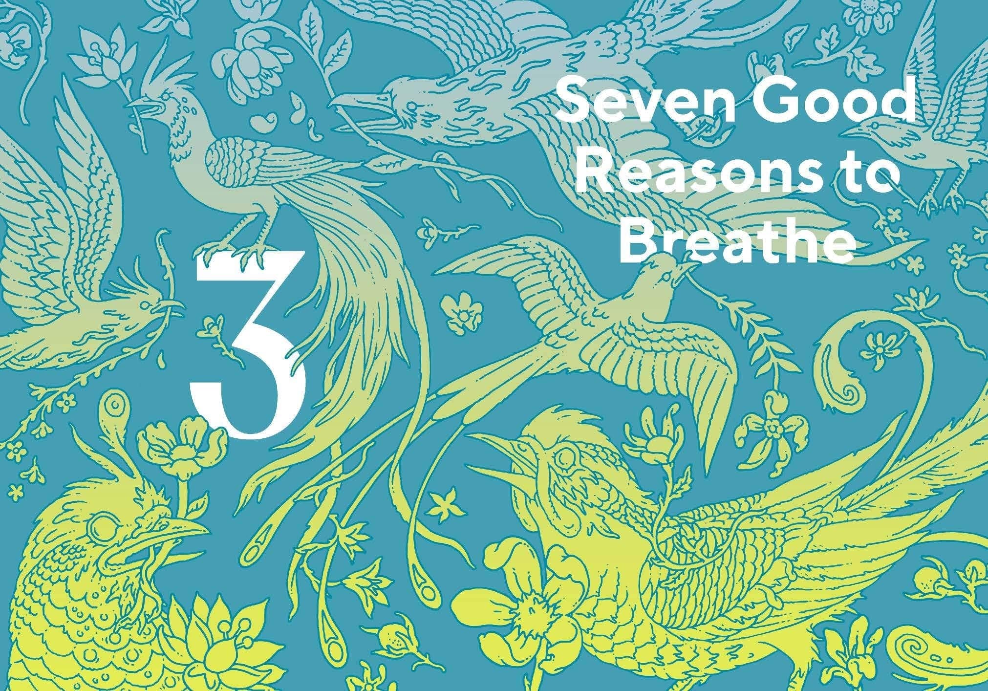 Breathwork Techniques for Stress Relief & Mindfulness - Guided Breathing Exercises for Meditation, Yoga & Relaxation at Home
