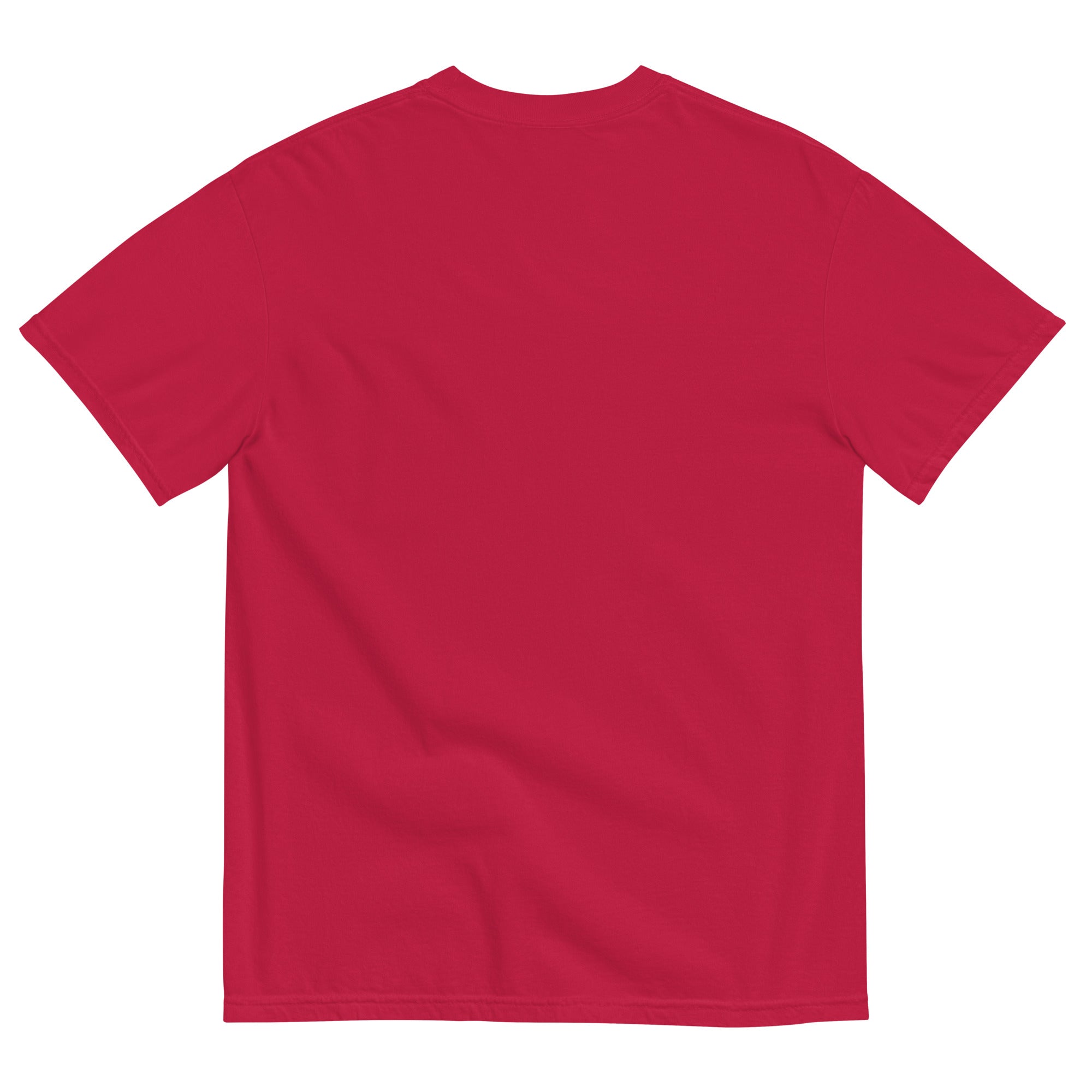Gainesville Spartans RFC Garment Dyed Cotton T-Shirt | Vintage Rugby Style Tee for Men | Perfect for Game Day & Casual Wear
