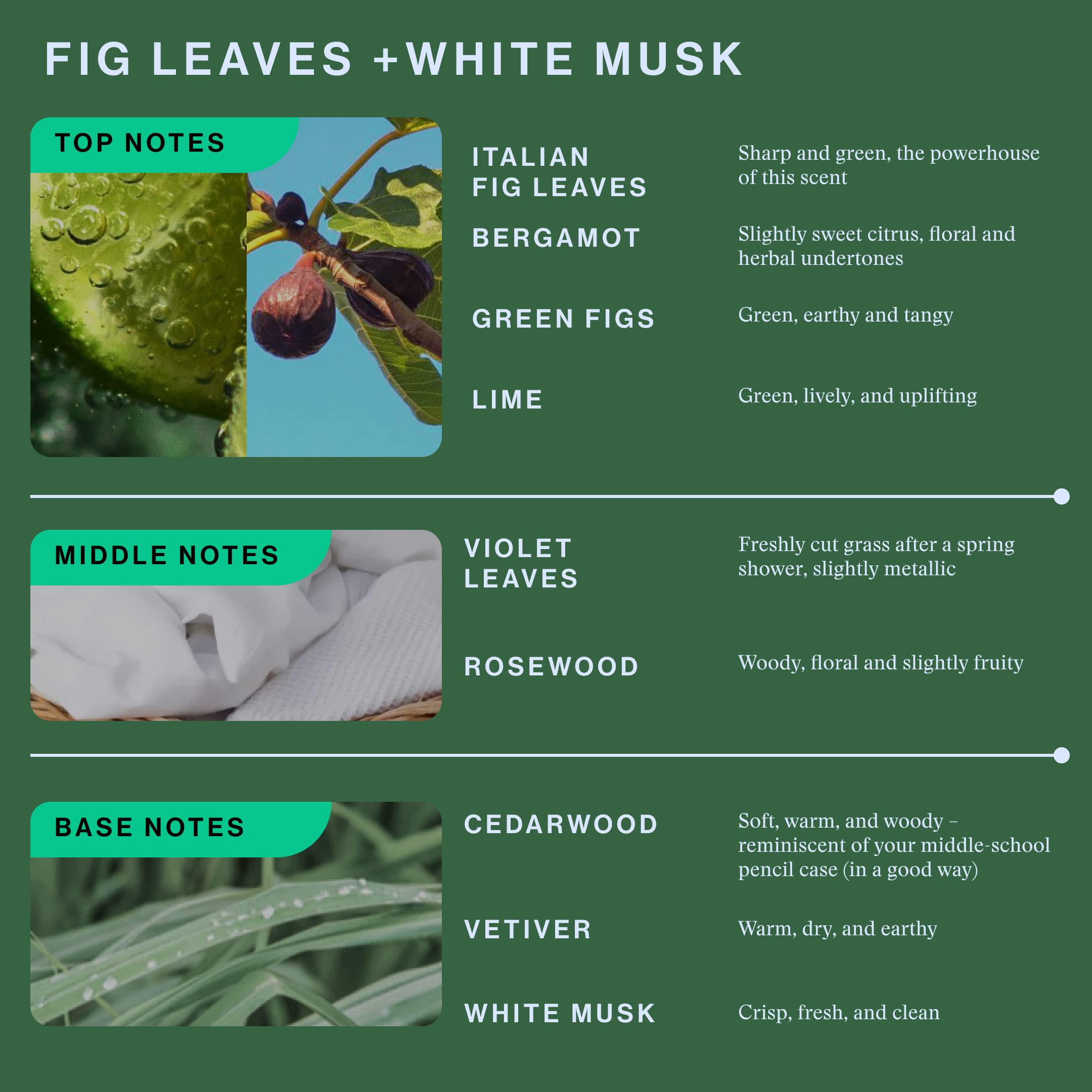 OffCourt - Fig Leaves & White Musk Scented Deodorant Body Spray (3 Pack) | Long-Lasting Fragrance for Men & Women | Gym, Workout & Everyday Freshness