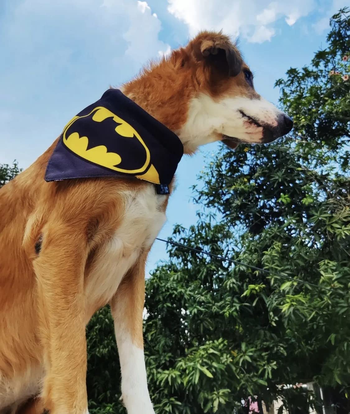 TDIT XDC Batman Reversible Dog Bandana with Adjustable Collar for Large Dogs - Perfect for Pet Costumes, Halloween & Superhero Themed Parties