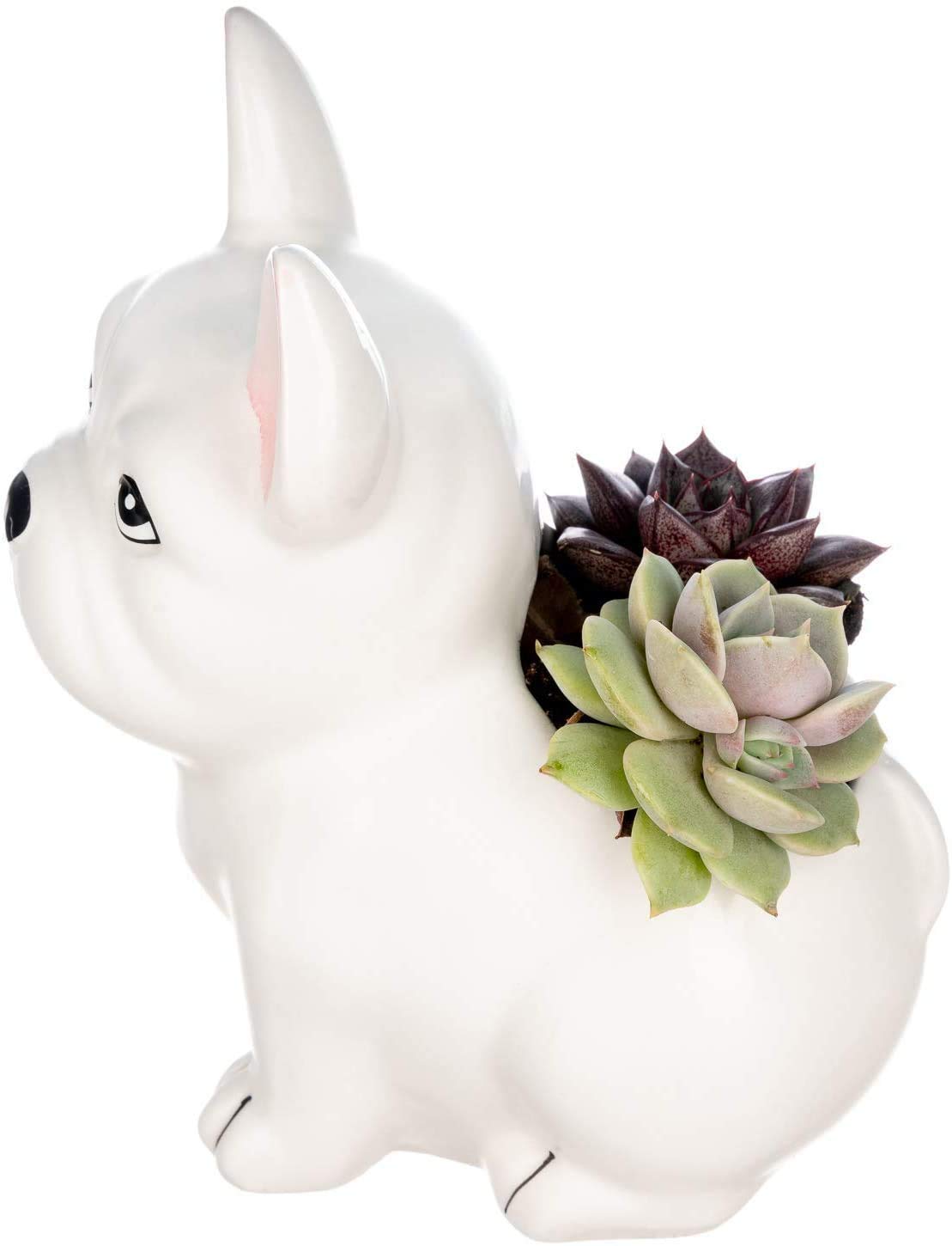 Cute Bulldog Succulent Planter - Ceramic Animal Flower Pot for Indoor Plants | Home Office Desk Decor, Gift for Plant Lovers