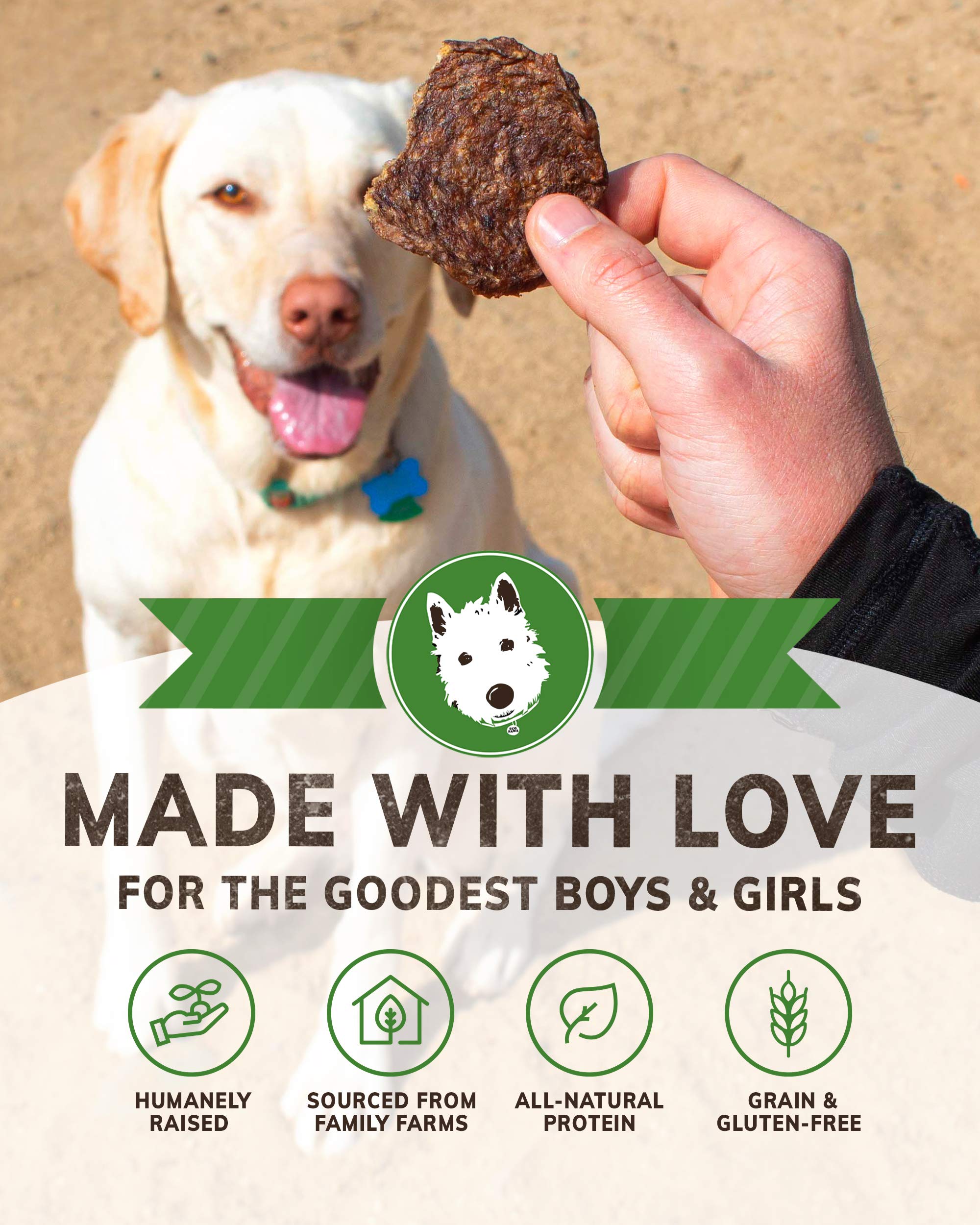 Wiley's Snaps Human-Grade Healthy Dog Treats - Made in USA, Grain-Free Chicken Recipe (1 lb) | Perfect for Training Rewards & Dental Health