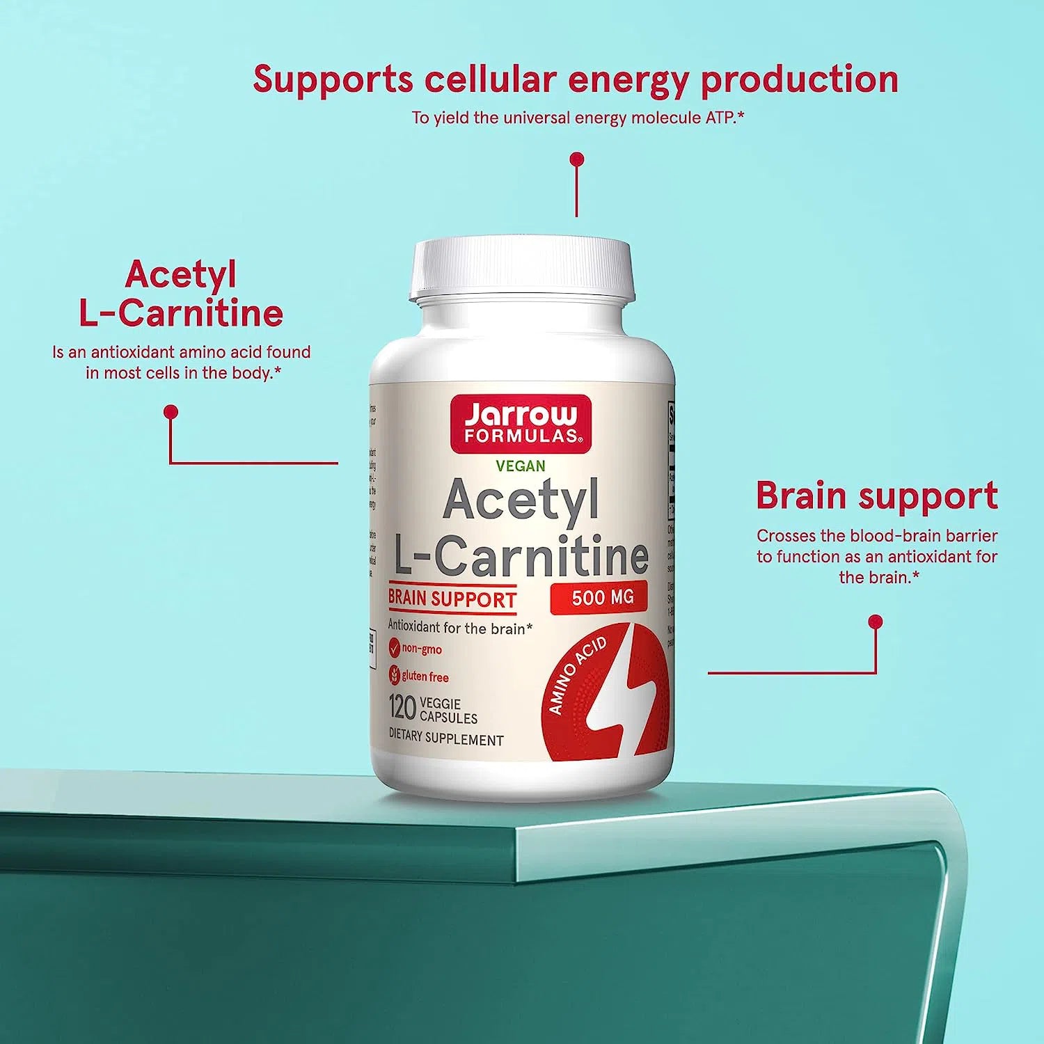 Jarrow Formulas Acetyl L-Carnitine 500mg Supplement - Supports Energy, Brain Function & Metabolism - Ideal for Fitness, Weight Management & Cognitive Health