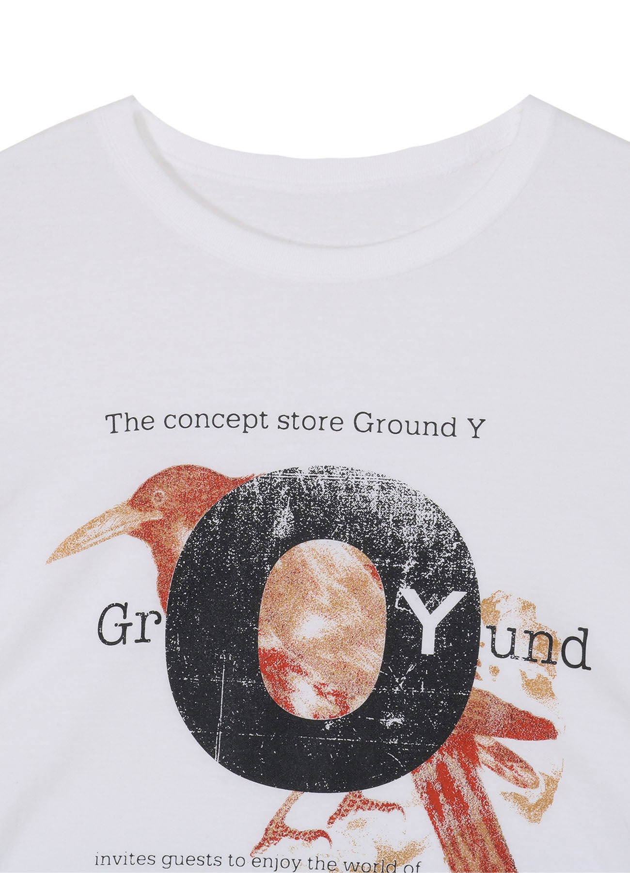 Soft Cotton Jersey Crew Neck T-Shirt for Men & Women - Comfortable Unisex Tee for Casual Wear, Street Style & Everyday Outfits