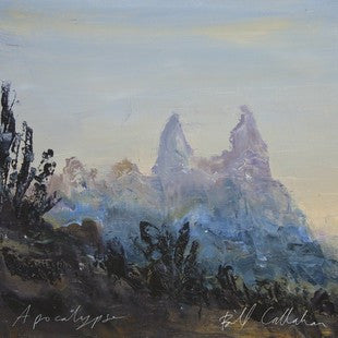 Bill Callahan - Apocalypse Vinyl LP Album (Mint Condition) | Limited Edition for Music Collectors & Audiophiles | Perfect for Home Listening & Vinyl Enthusiasts