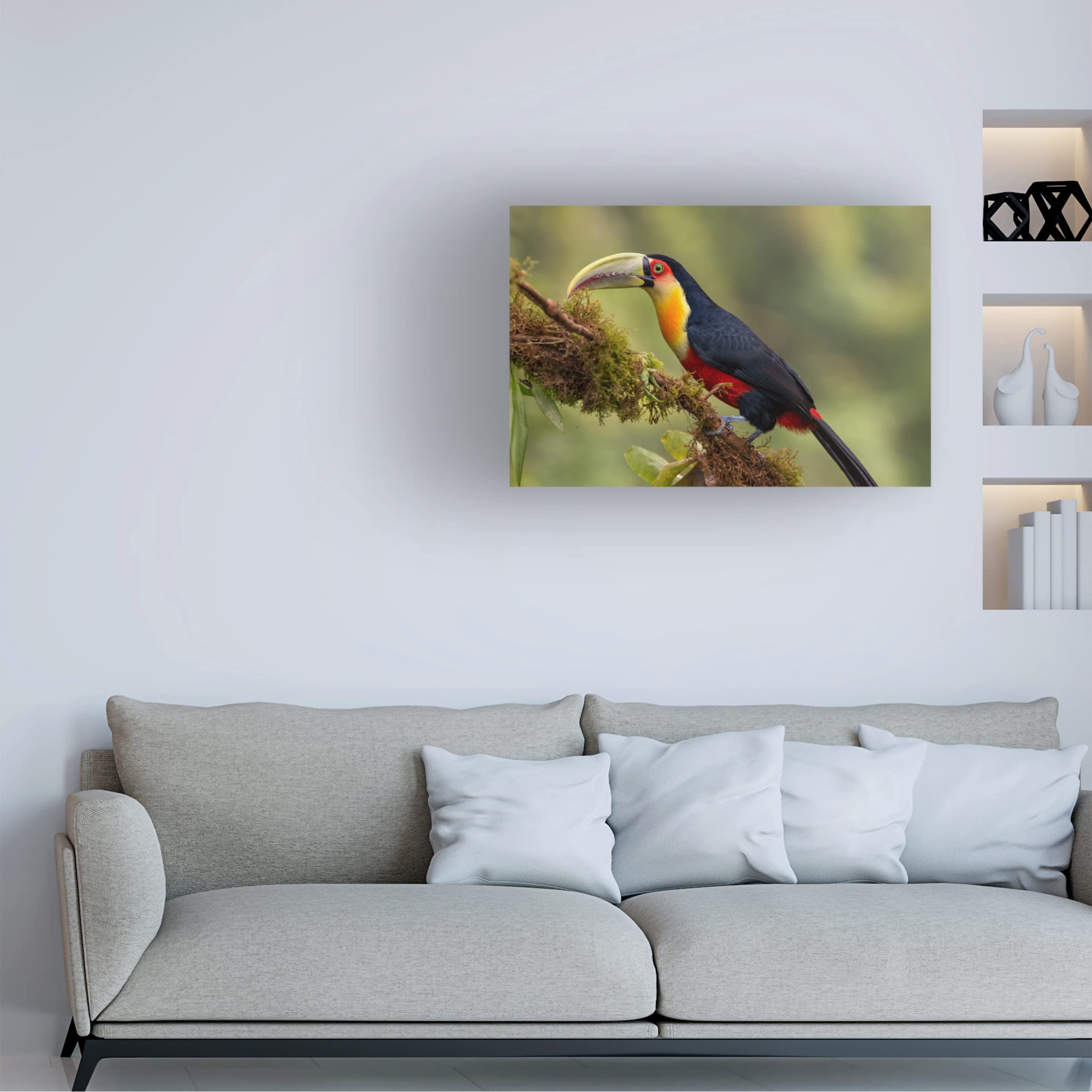 Piotr Galus 'Red Breasted Toucan' Canvas Wall Art Print - Tropical Bird Painting for Living Room, Bedroom & Office Decor