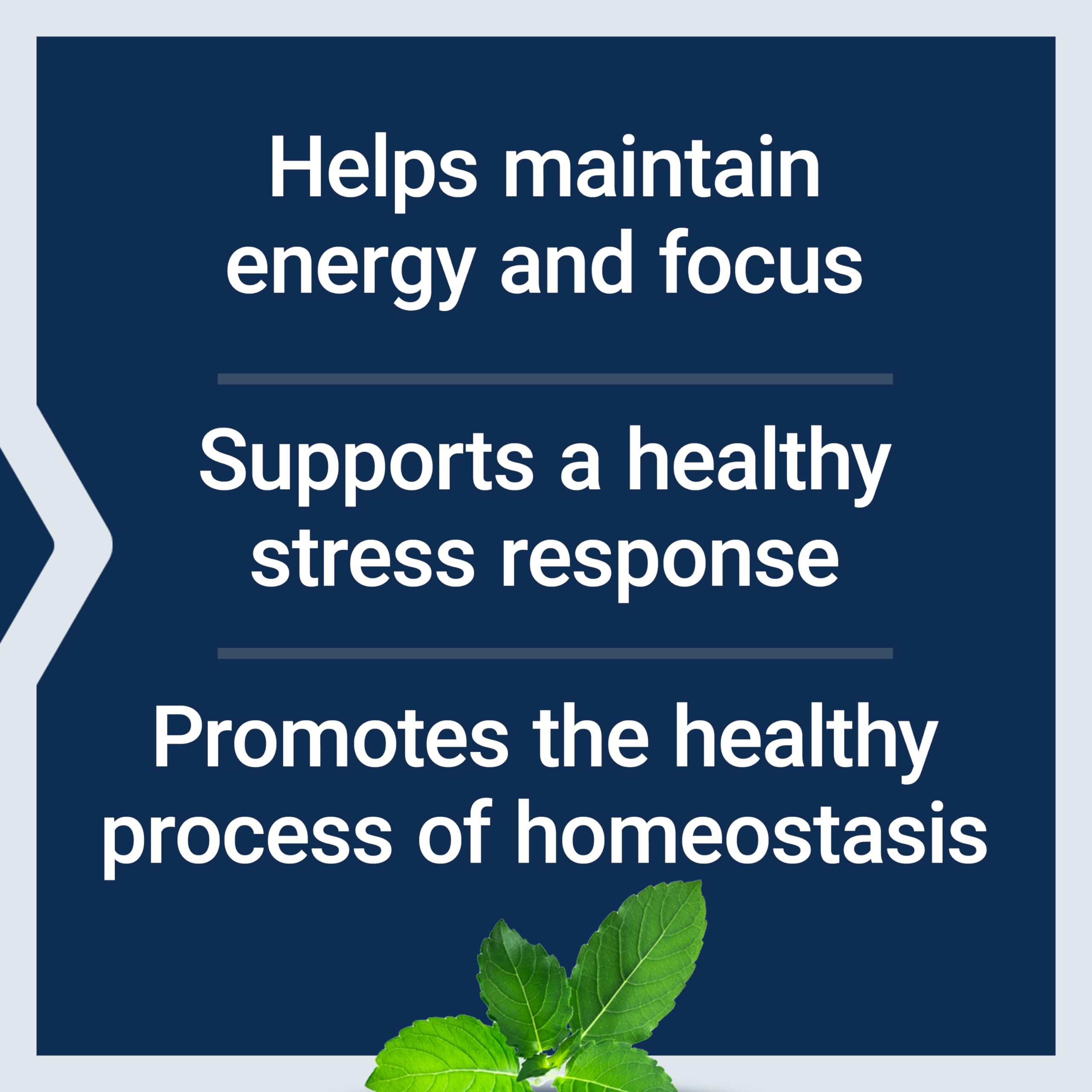 Life Extension Adrenal Energy Formula - Stress Relief Supplement with Holy Basil, Cordyceps, Bacopa & Ashwagandha | Gluten Free, Non-GMO, Vegetarian | 60 Capsules | Boost Energy & Combat Fatigue for Busy Professionals