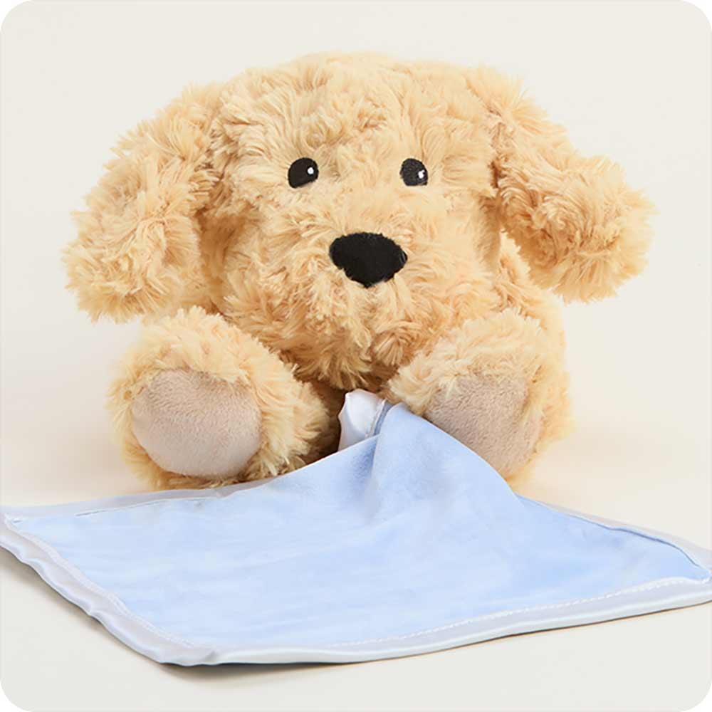 Golden Dog Blanket for Pets - Ultra Soft & Warm Fleece Pet Blankie - Perfect for Dogs, Cats, and Small Animals - Cozy Bedding for Winter Nights & Cuddling
