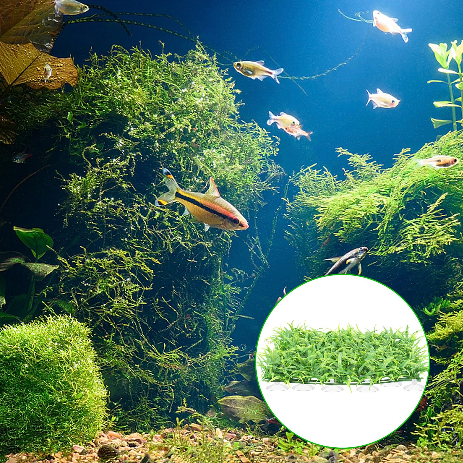 30 Small Aquarium Suction Cups with 50 Adjustable Zip Ties - Secure Cable Management Set for Fish Tanks, DIY Crafts, Festival Decorations | Perfect for Organizing Wires, Hanging Decor & Underwater Plants