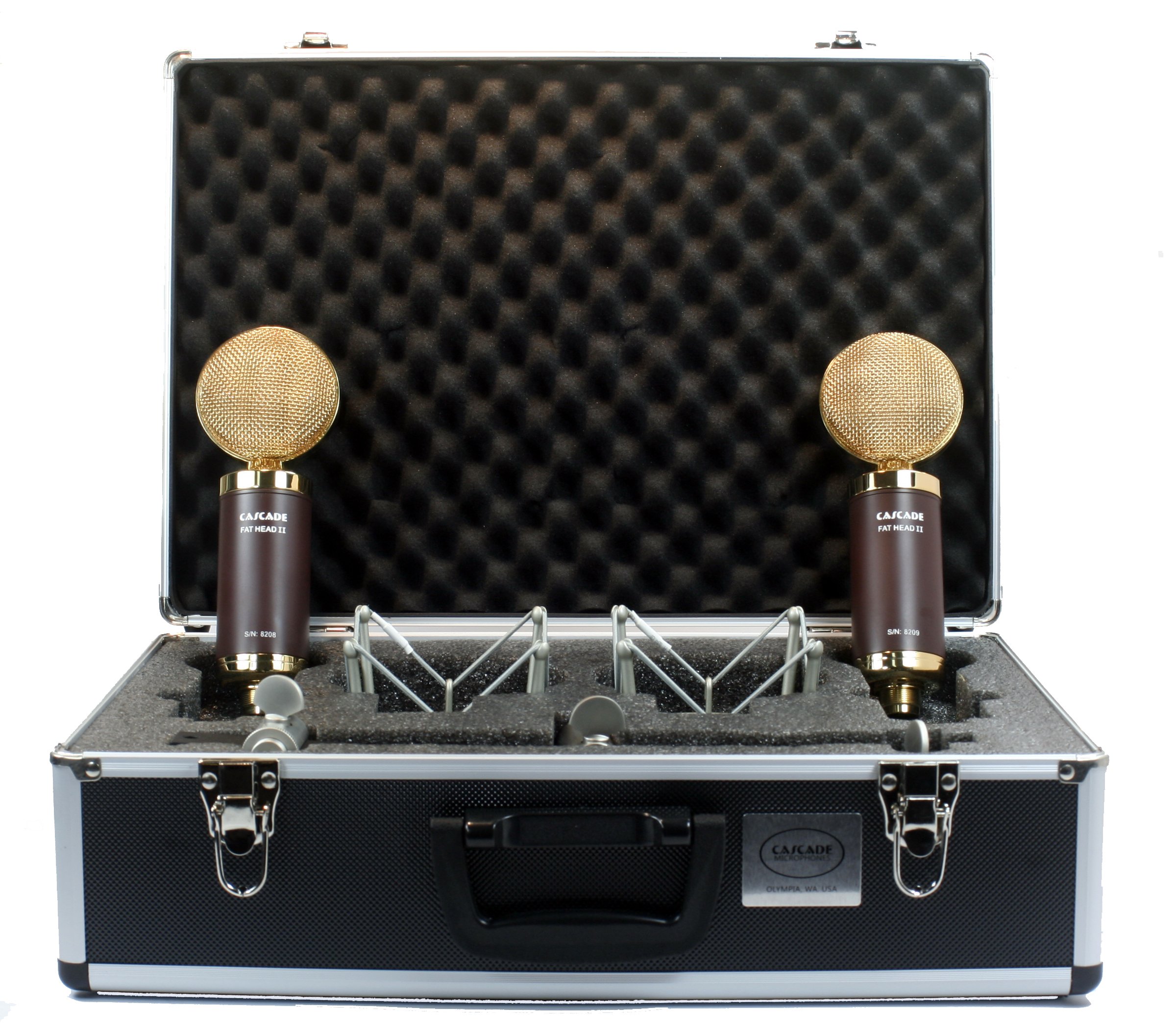Cascade Microphones 990-GL-A Professional Ribbon Microphone for Studio Recording, Live Performances & Podcasting - High-Quality Vintage Sound for Vocals & Instruments