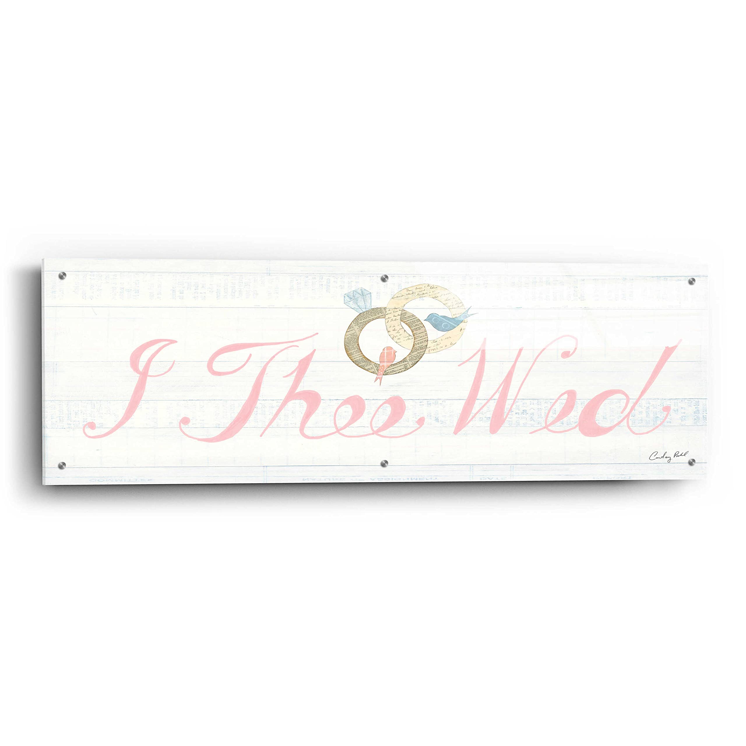Courtney Prahl Lovebirds Sign I - 48x16 Inch Acrylic Glass Wall Art Painting, Modern Home Decor for Living Room, Bedroom & Office