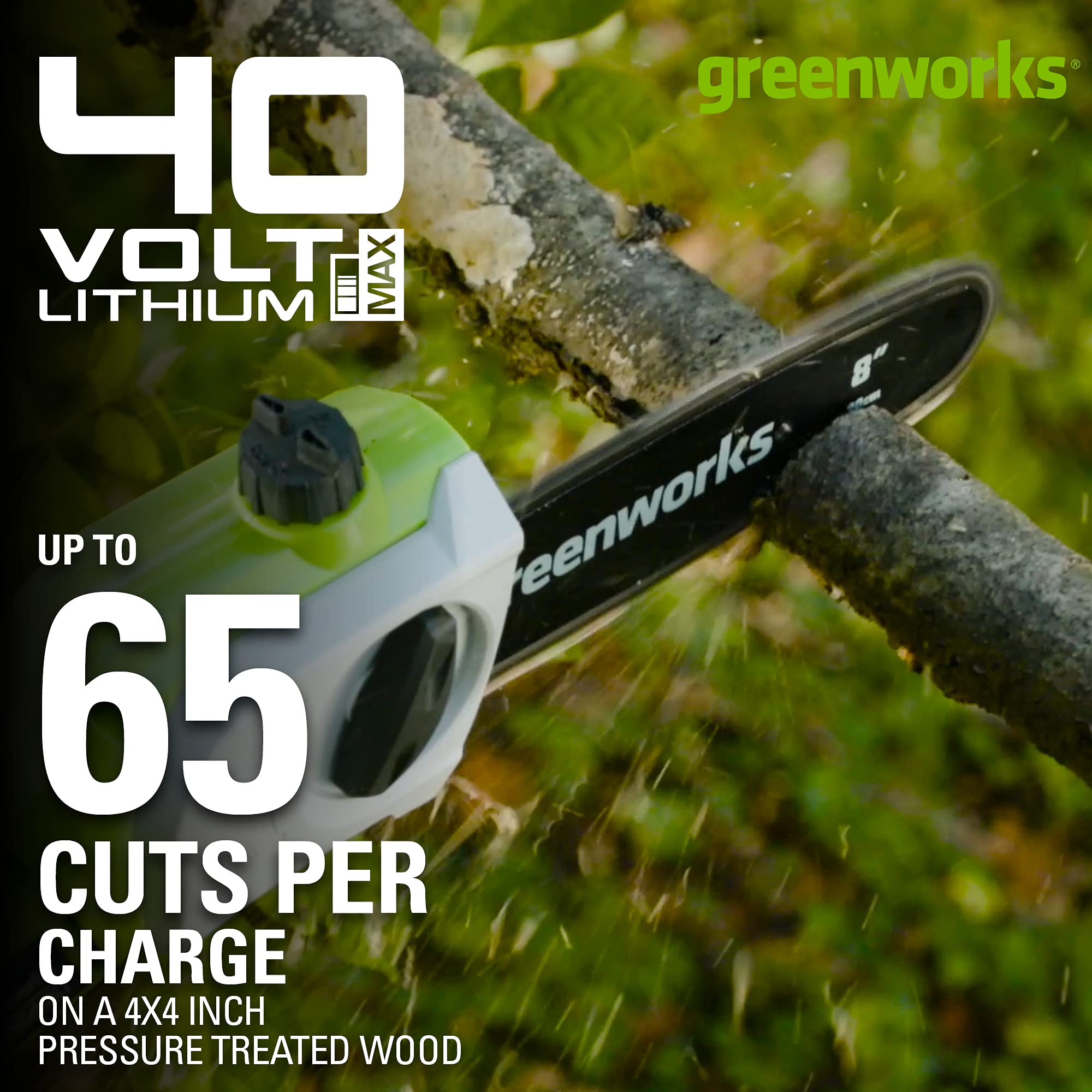 Greenworks 40V 8-Inch Cordless Pole Saw with Hedge Trimmer Attachment | 2Ah Battery & Charger Included | Model 1300402 | Perfect for Tree Trimming, Landscaping & Yard Maintenance