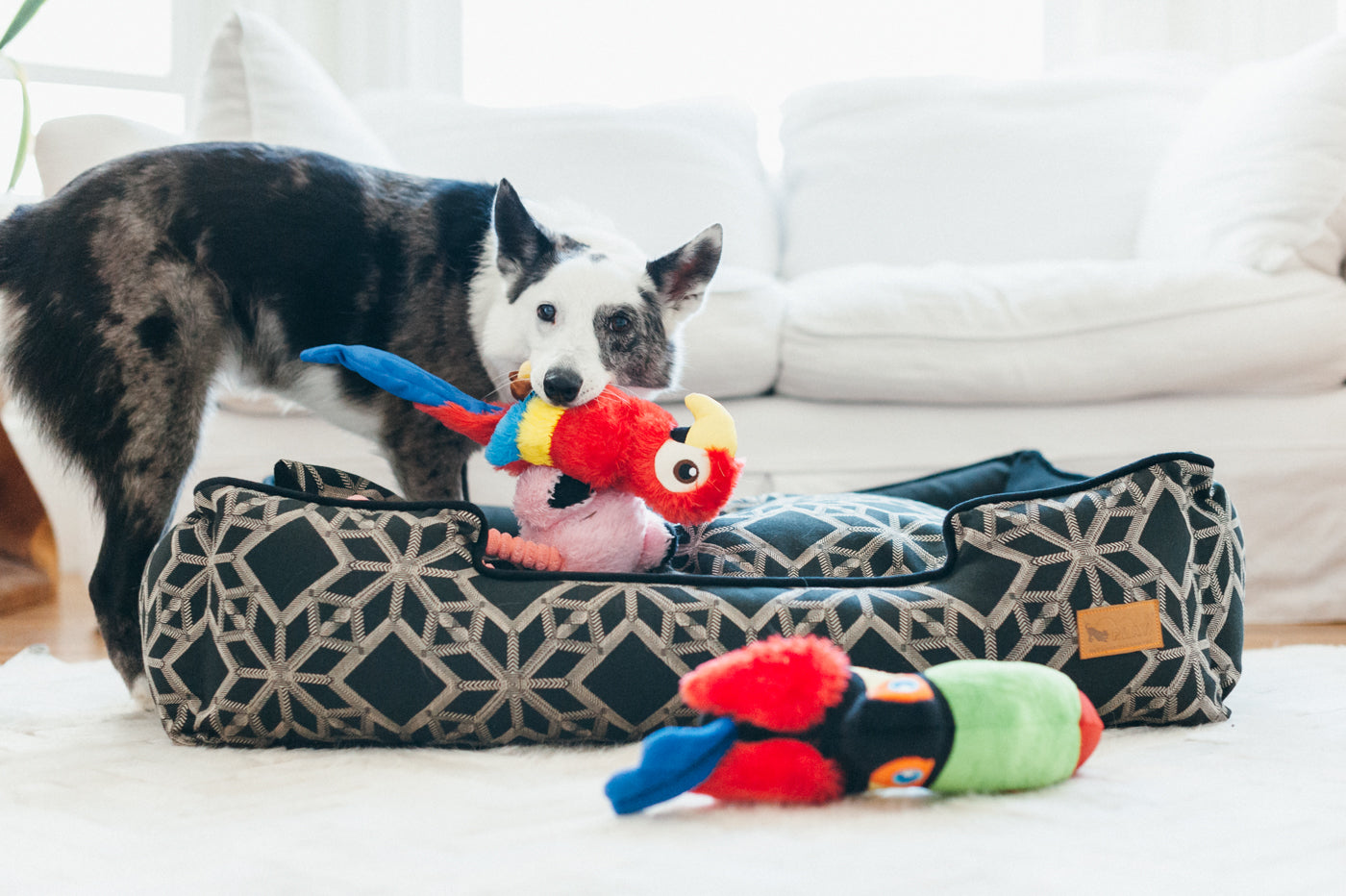 Flora the Flamingo Plush Dog Toy - Soft & Durable Fetching Flock™ Chew Toy for Small & Medium Dogs | Perfect for Playtime, Training & Cuddling | Pet P.L.A.Y.