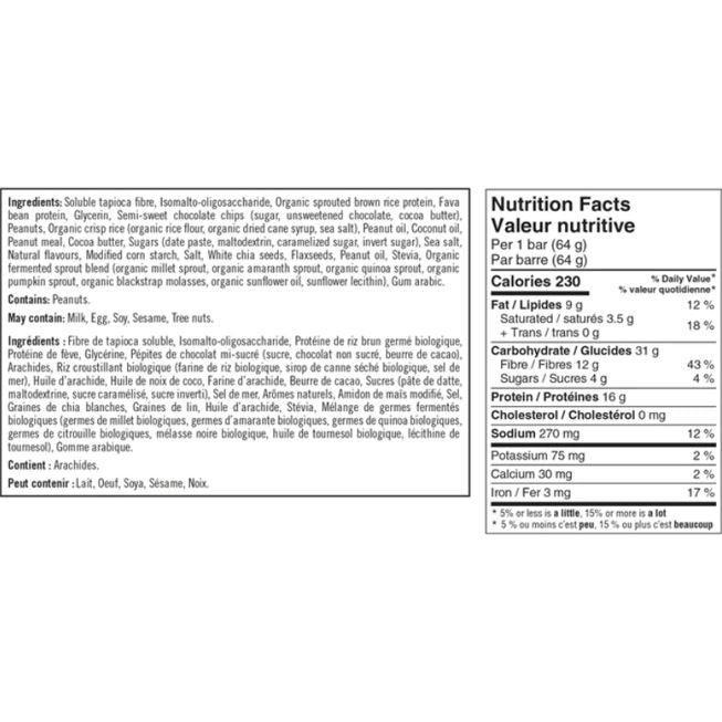 Iron Vegan Sprouted Protein Bar - Peanut Chocolate Chip 62g | Organic Plant-Based Snack for Energy & Muscle Recovery | Perfect for Gym, Hiking & Post-Workout