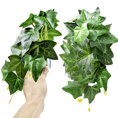 Green Ivy