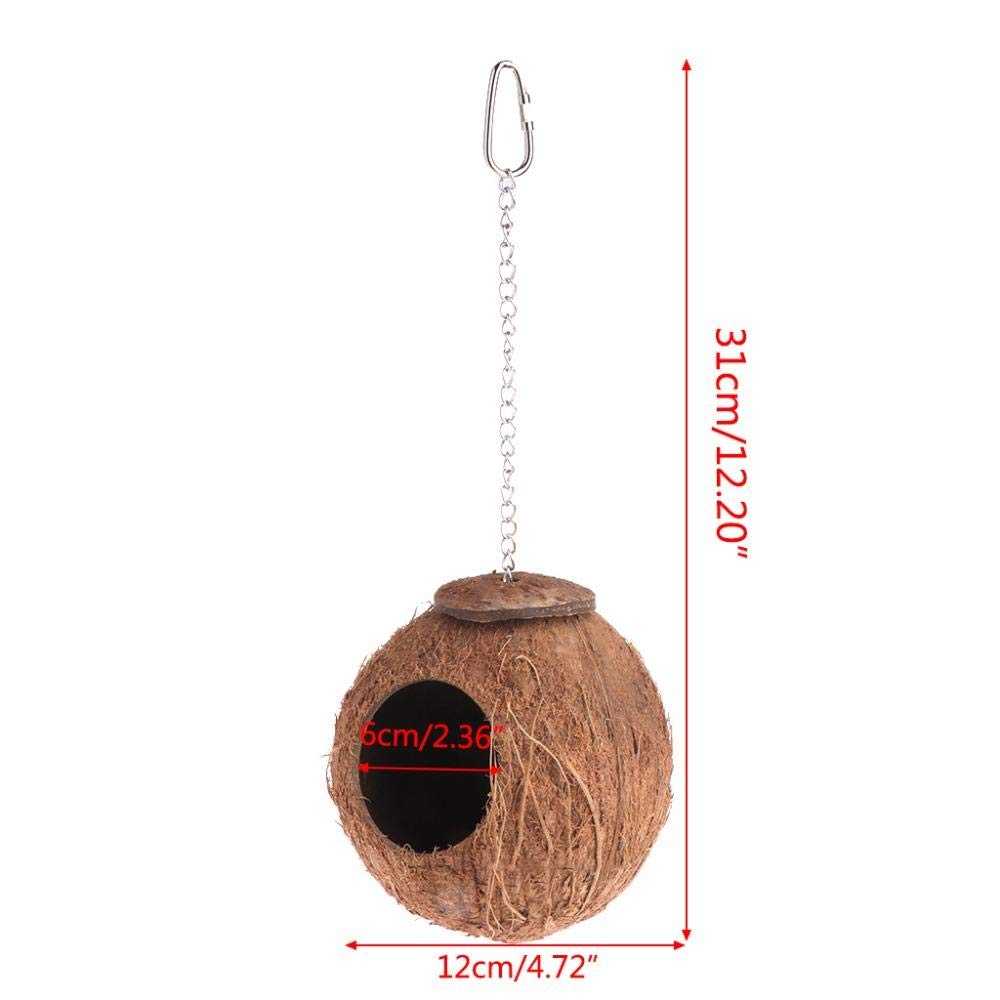 Natural Coconut Shell Bird Ladder & Swing House - 2Pcs Hanging Cage Toys for Parrots, Finches & Small Birds | Perfect for Climbing, Playing & Resting in Aviaries & Bird Cages