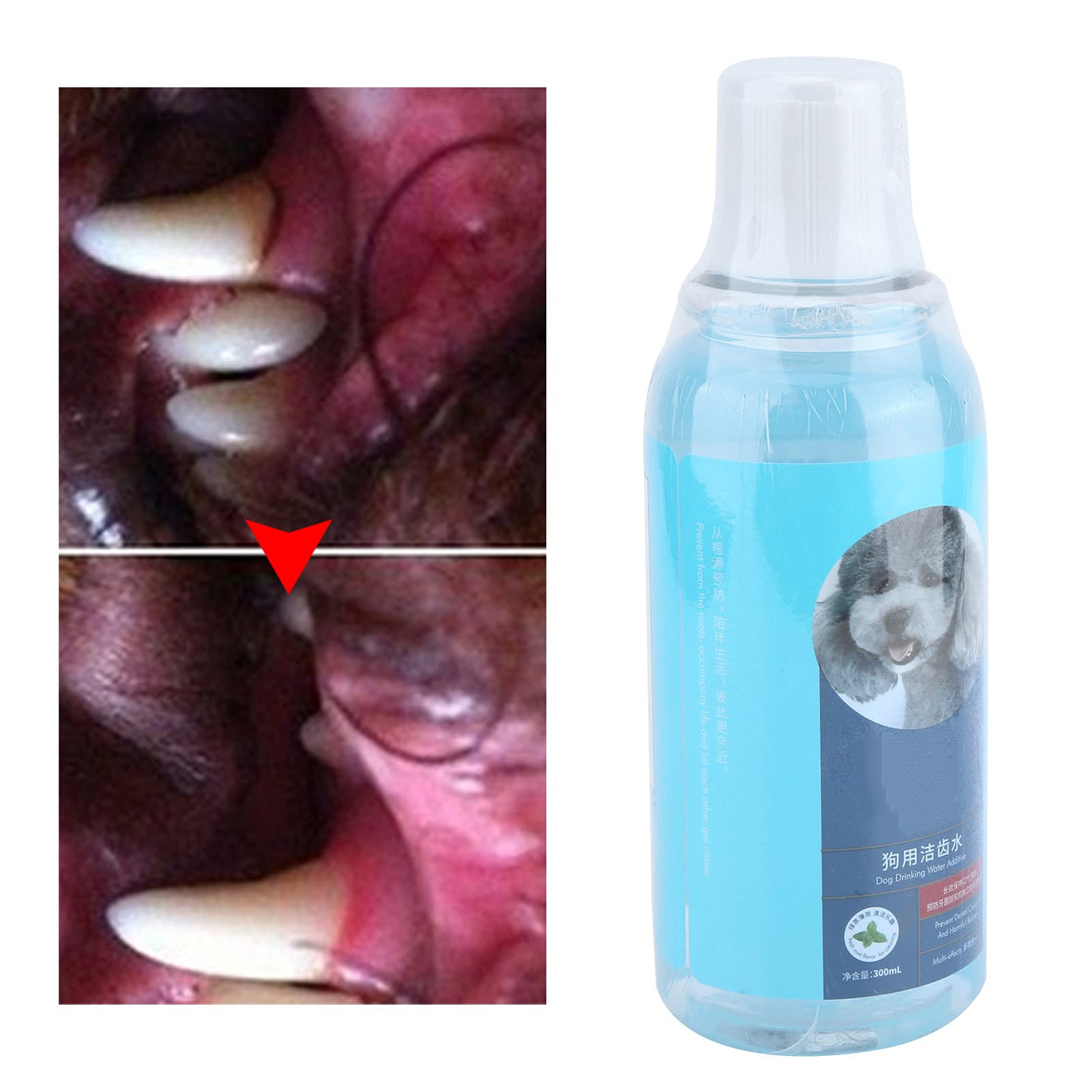 QIRG 300ml Dog Dental Water Additive - Teeth Cleaning & Digestive Aid for Dogs | Freshens Breath & Promotes Oral Health | Ideal for Daily Water Bowl Use & Pet Dental Care