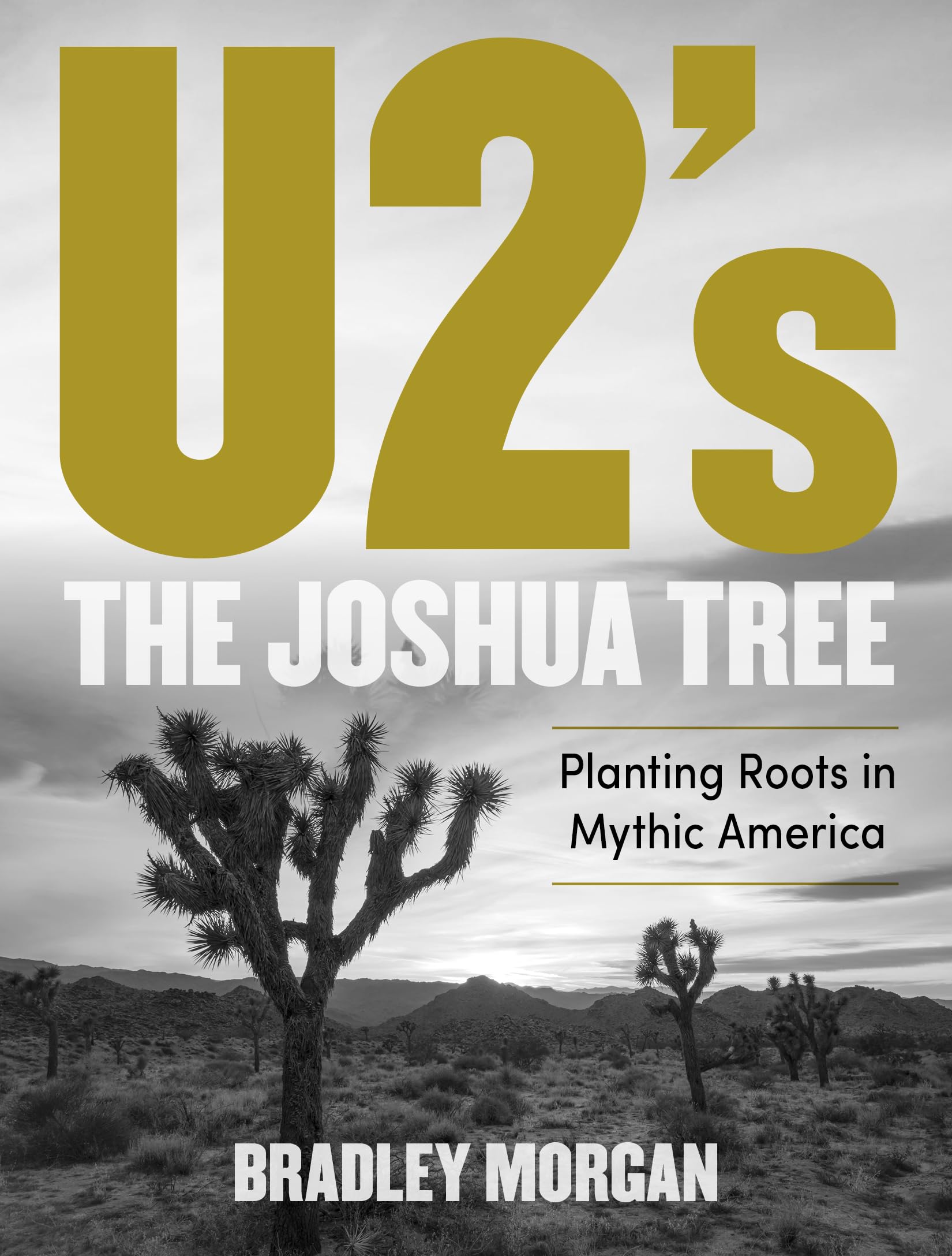 U2's The Joshua Tree Vinyl Record - Classic Rock Album for Home & Office Decor | Perfect for Music Lovers & Collectors