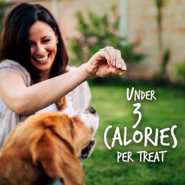 Fruitables Skinny Minis Pumpkin & Berry Flavor Dog Treats - Healthy Low-Calorie Training Snacks for Small Dogs - Perfect for Reward Training & On-the-Go Treats