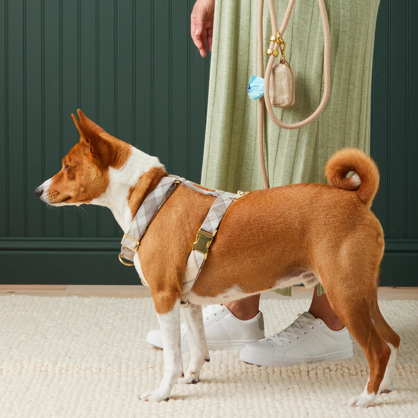 Andover Plaid Dog Harness - Adjustable Pet Harness for Small to Medium Dogs - Comfortable & Stylish for Walking, Hiking, and Outdoor Adventures