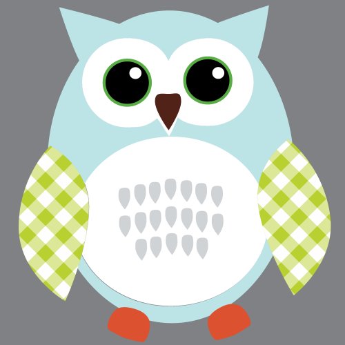 Regular Owl: Blue & Orange