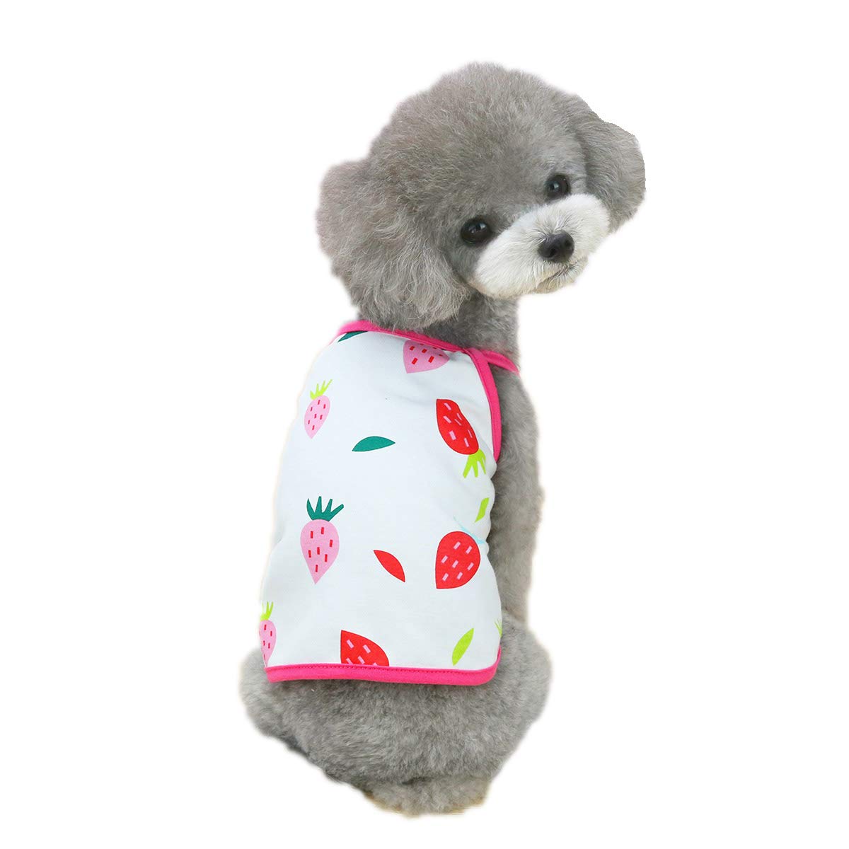Cute Dog T-Shirts & Tank Tops for Small Dogs - Summer Puppy Clothes for Girls - Breathable Pet Shirts for Daily Walks & Outdoor Adventures