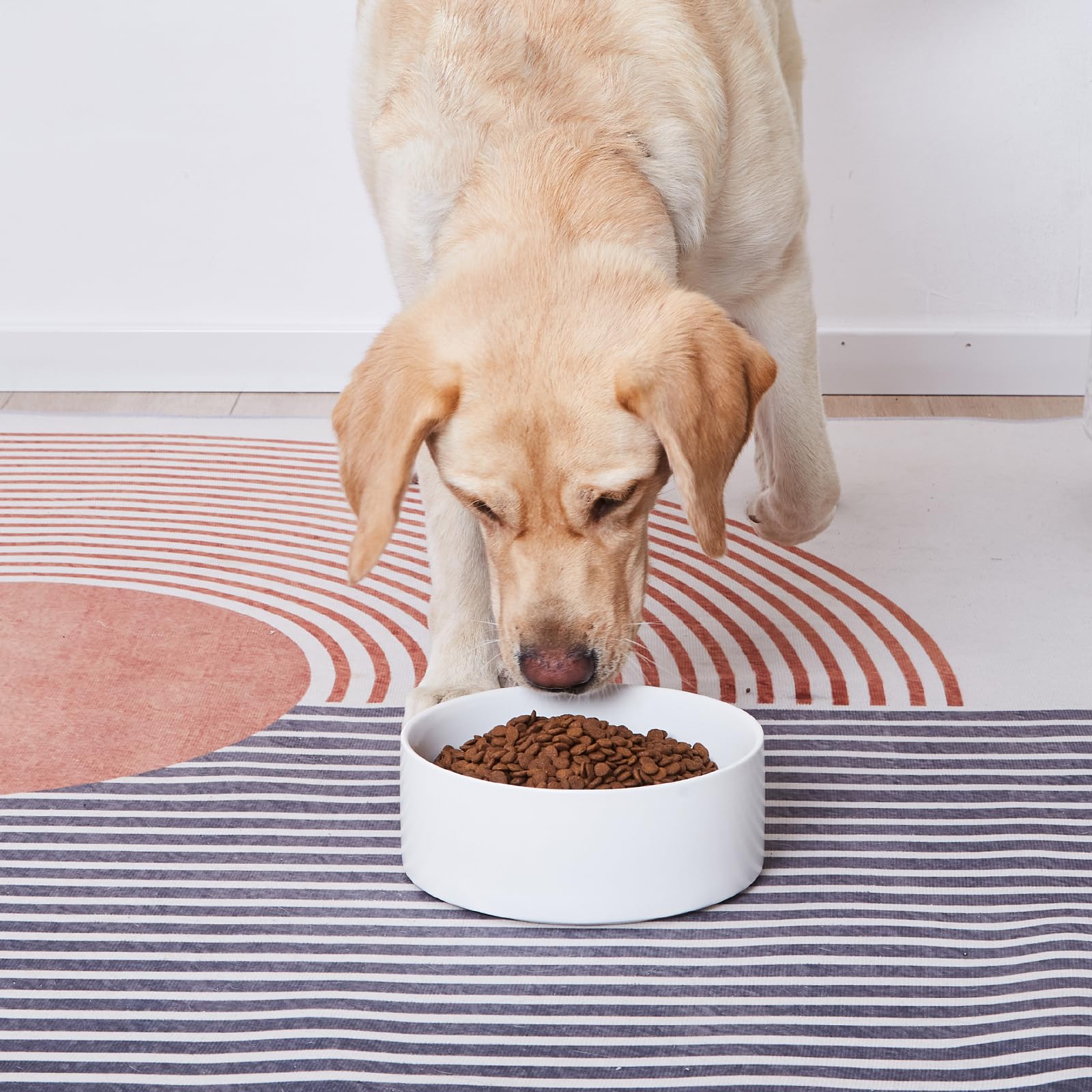 8'' Ceramic Dog Bowl - 70Oz Heavy-Duty Non-Slip Pet Food & Water Dish for Medium & Large Dogs, Food Grade Stoneware, Dishwasher & Microwave Safe - Perfect for Home, Kitchen, or Outdoor Use - White
