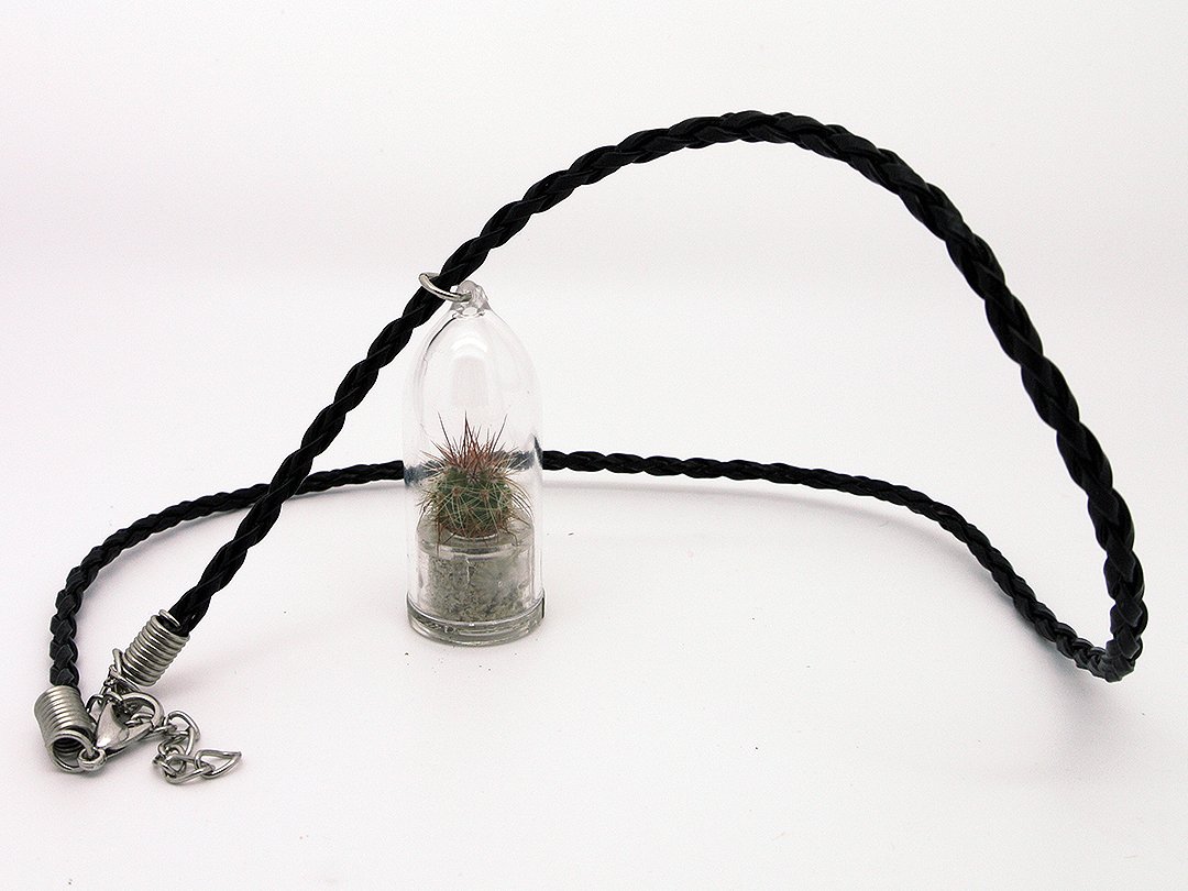 Live Cacti Plant Necklace - Palms Terrarium Flower Pendant with 17