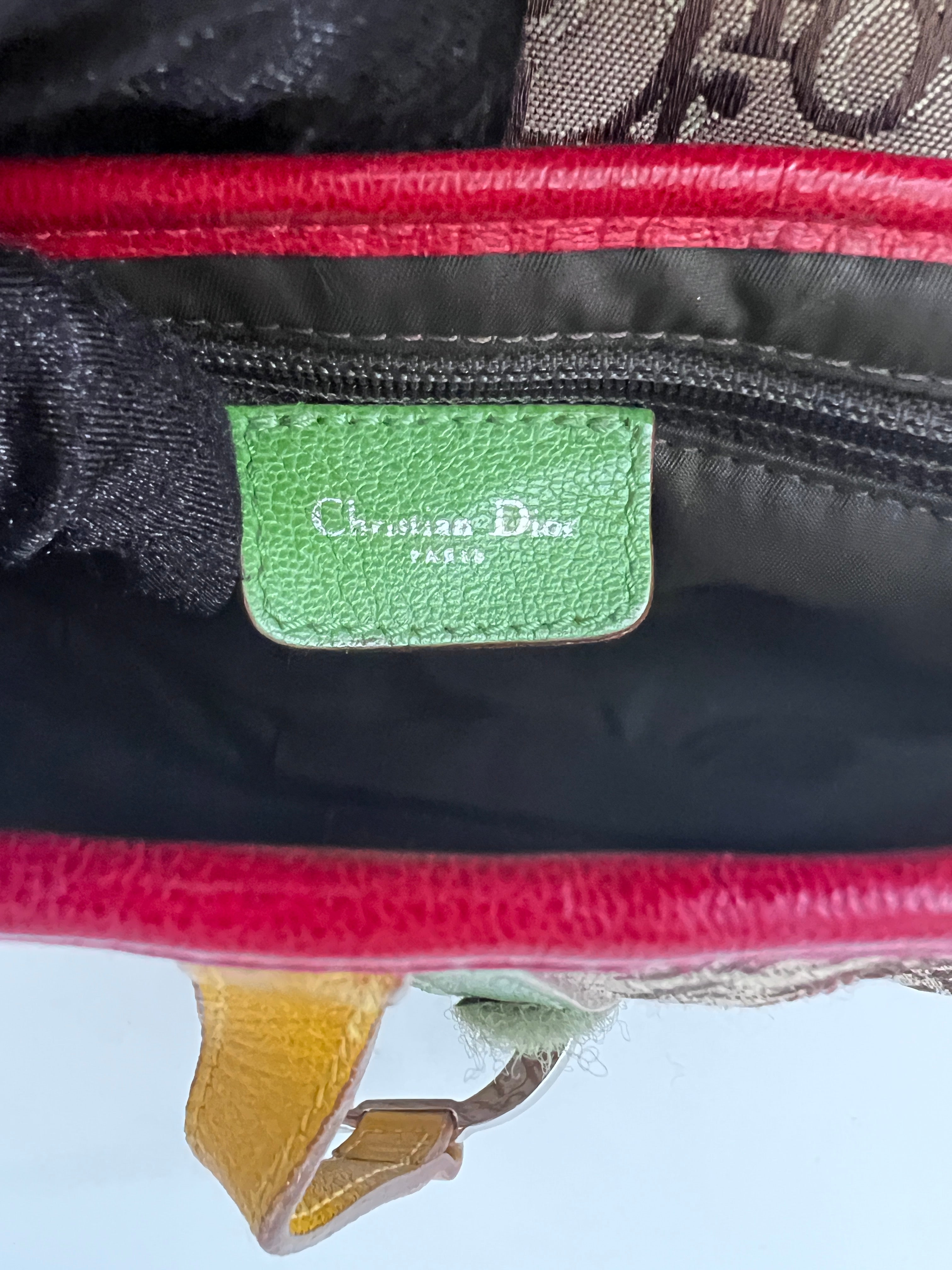Dior Rasta Saddle Bag - Luxury Designer Handbag for Women | Fashionable Crossbody & Shoulder Bag for Parties, Travel & Everyday Use