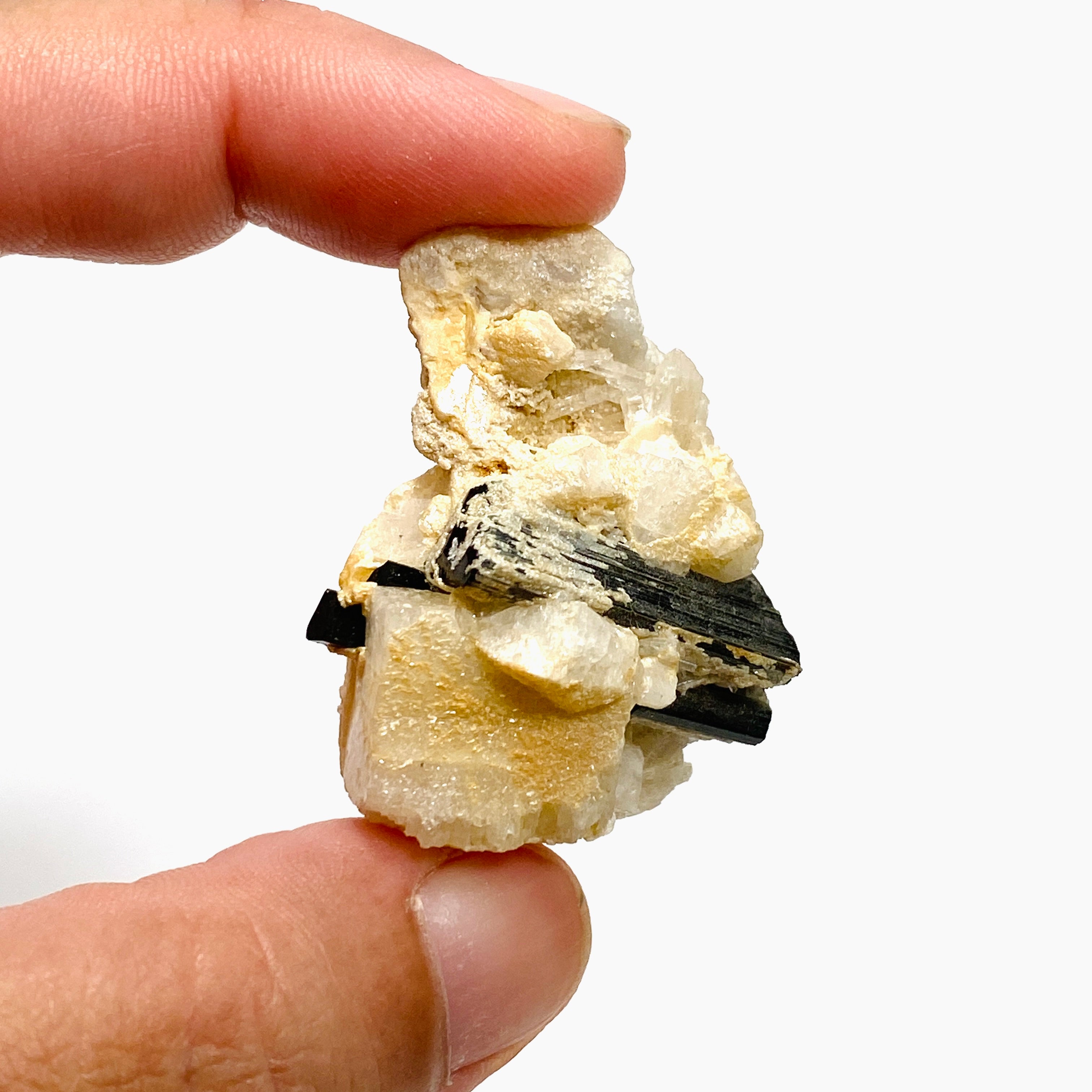 Natural Black Tourmaline Crystal Specimen - BTS 06 Raw Mineral for Healing, Collection & Home Decor | Perfect for Meditation, Energy Work & Crystal Displays