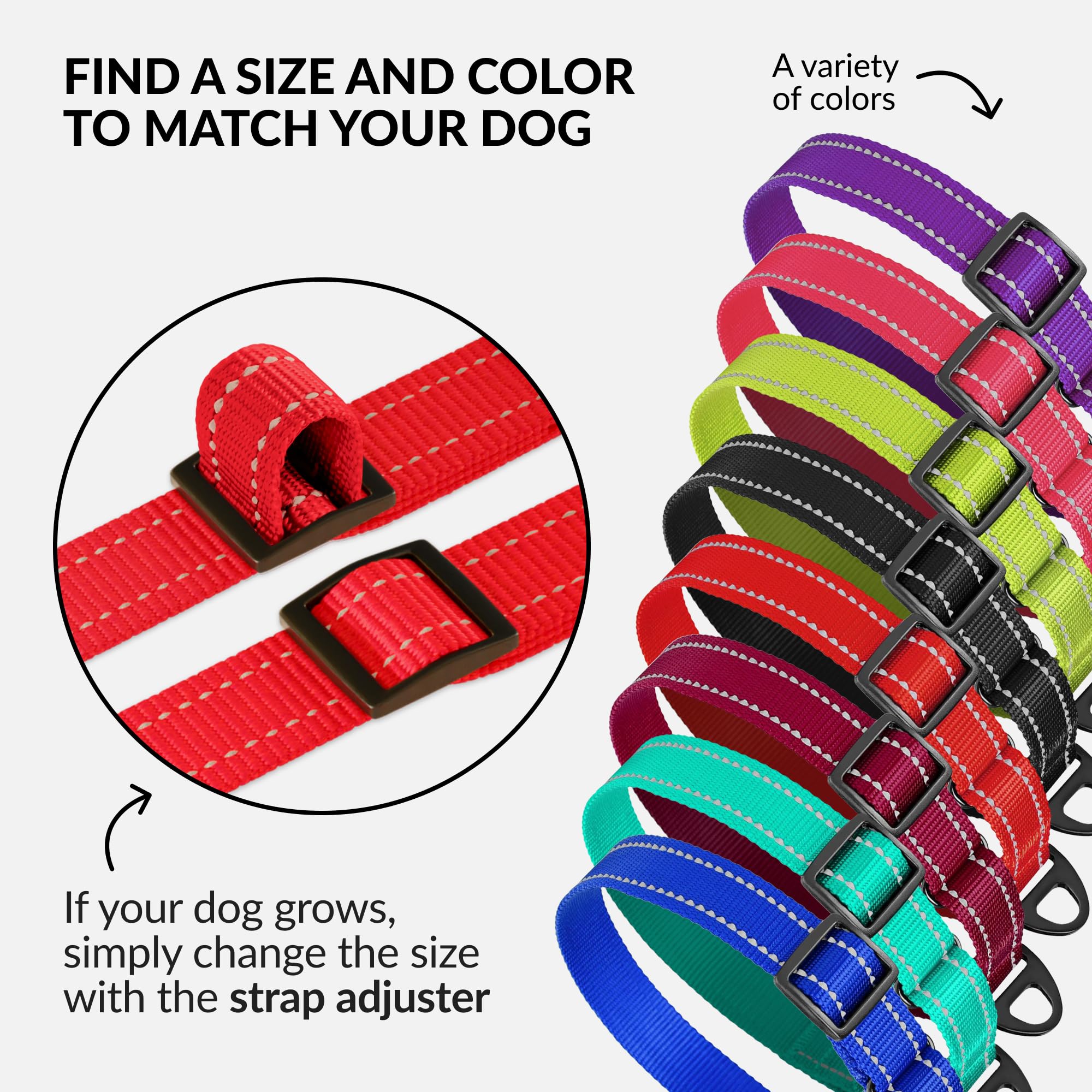 Reflective Martingale Dog Collar - Heavy Duty Nylon Training Collar for Small, Medium & Large Dogs - Adjustable Puppy Collar in Black, Blue, Mint, Red, Pink, Purple (Size M, 13