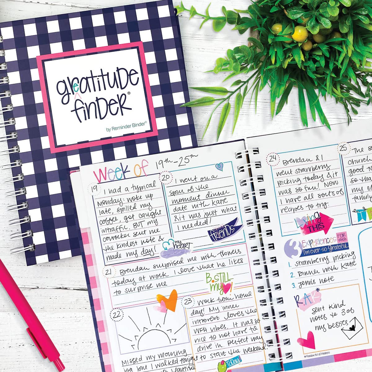 Denise Albright Gratitude Finder® 52-Week Undated Journal for Women, Teens & Girls - Self-Care Diary with 165 Hand-Drawn Stickers, Navy Gingham Design - Perfect for Daily Reflection, Mindfulness Practice & Gift Giving