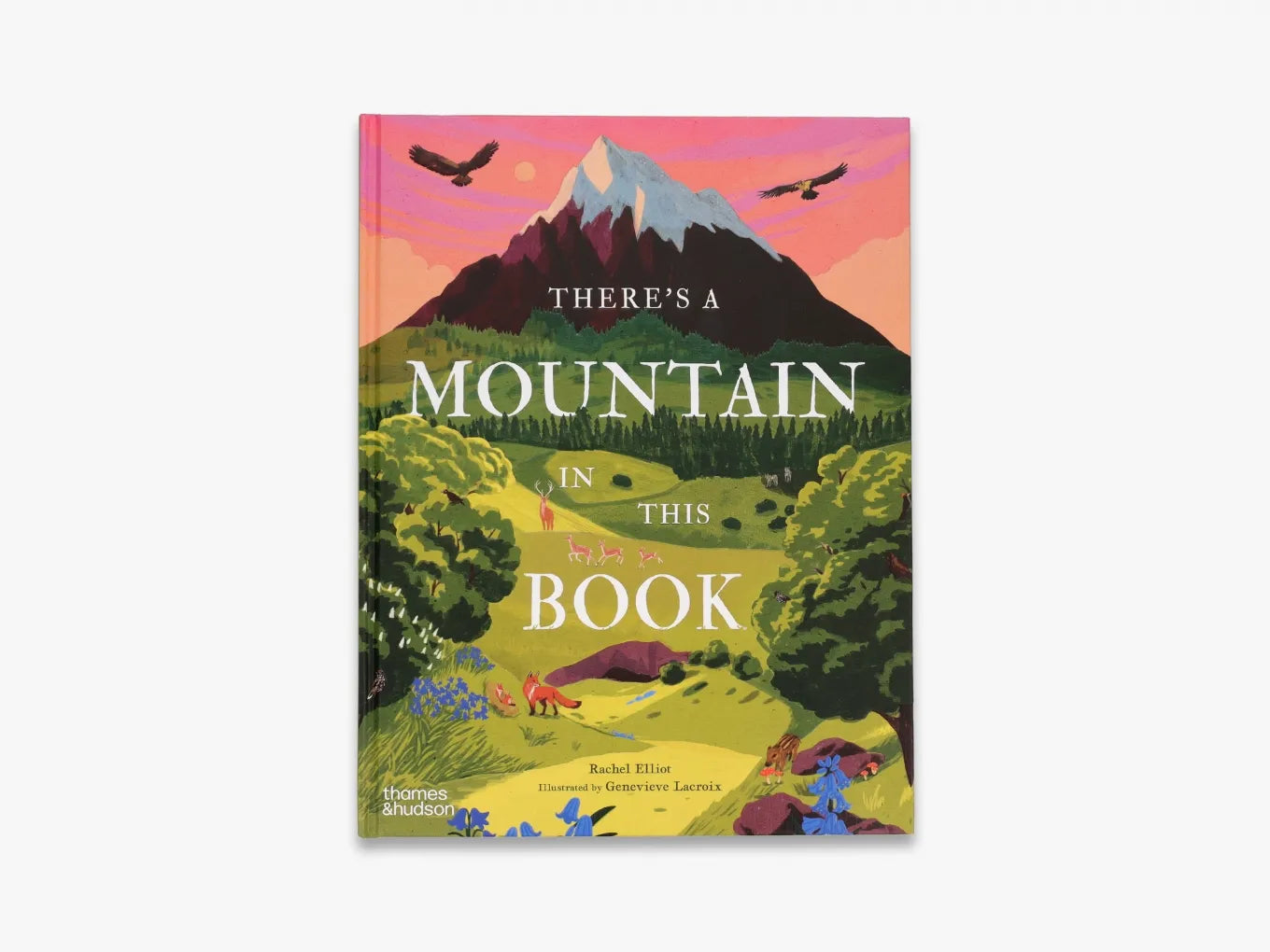 There's a Mountain in This Book - Interactive Children's Storybook for Adventure & Learning | Perfect for Bedtime Reading & Classroom Activities