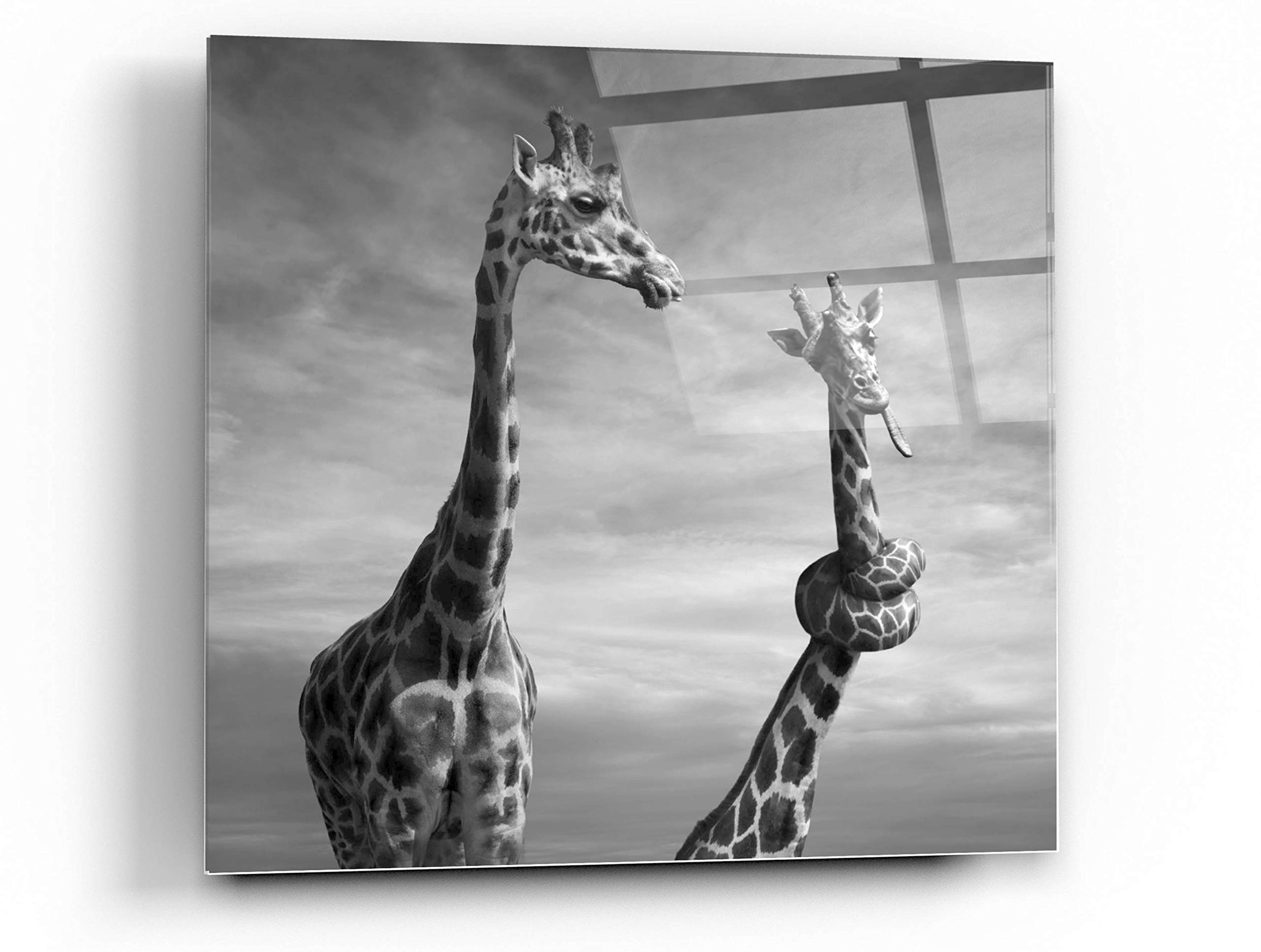 Twisted Sister Acrylic Glass Wall Art by Dariusz Klimczak - 24x24 Inch Modern Abstract Painting - Perfect for Living Room, Bedroom or Office Decor