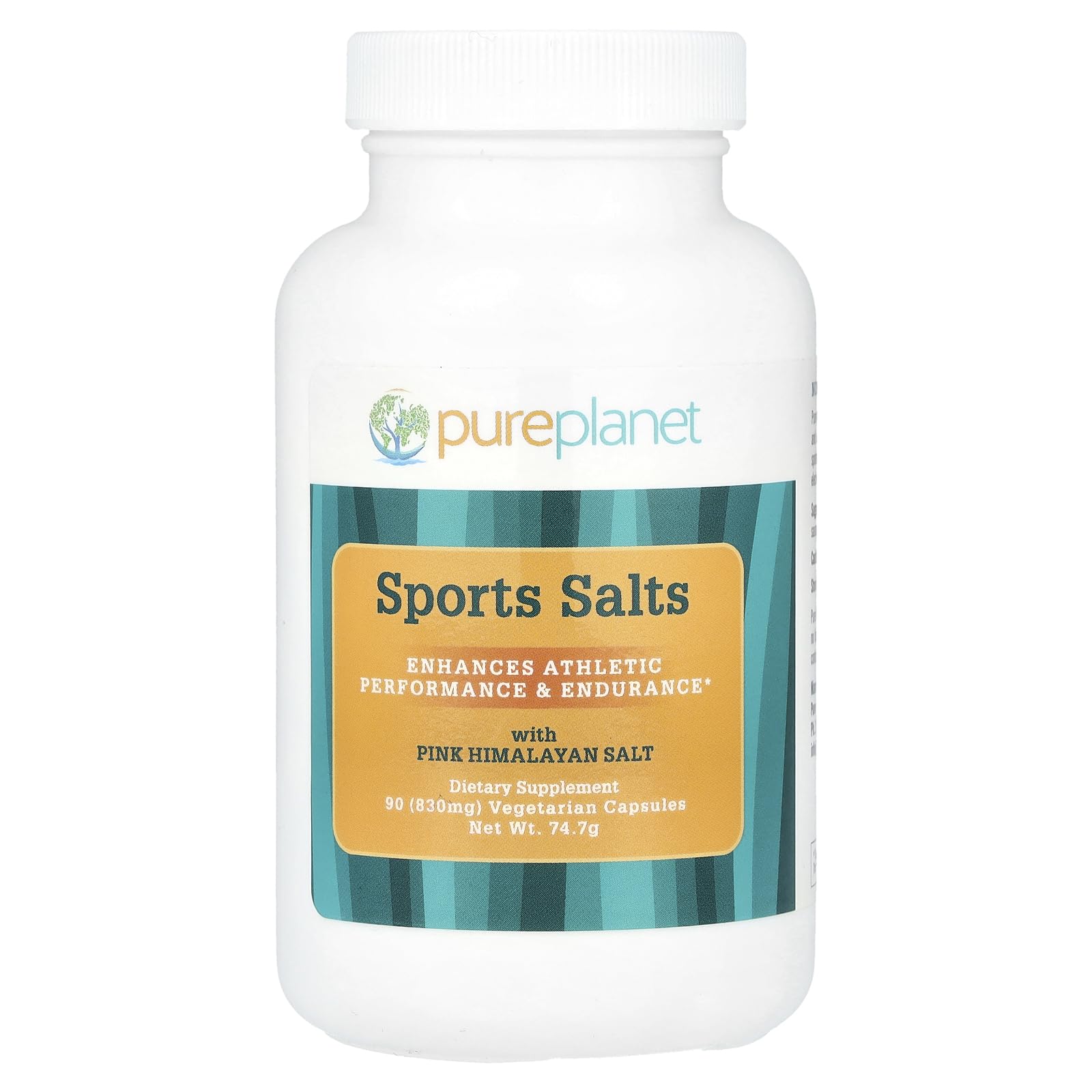 Pure Planet Sports Salts - 90 Vegetarian Capsules for Athletes | Electrolyte Replenishment & Muscle Recovery Supplement for Workouts, Running & Fitness