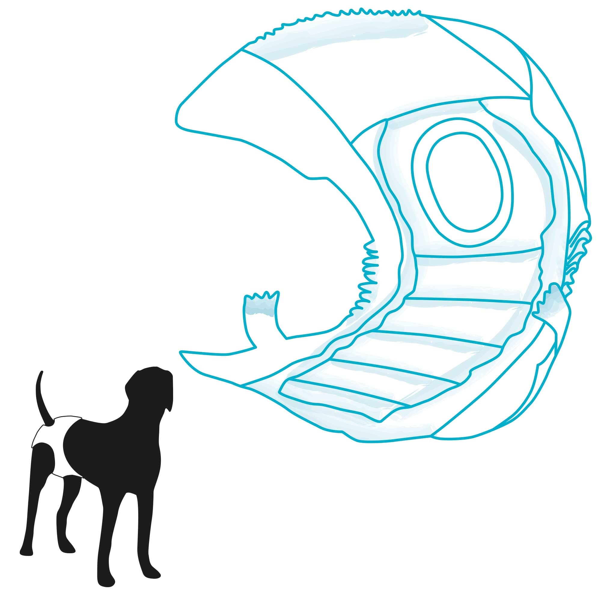 Trixie Medium to Large Dog Diapers for Female Dogs - 12 Pack | Washable & Reusable Pet Diapers for Incontinence, Heat Cycles, and Training | Perfect for Home, Travel, and Vet Visits