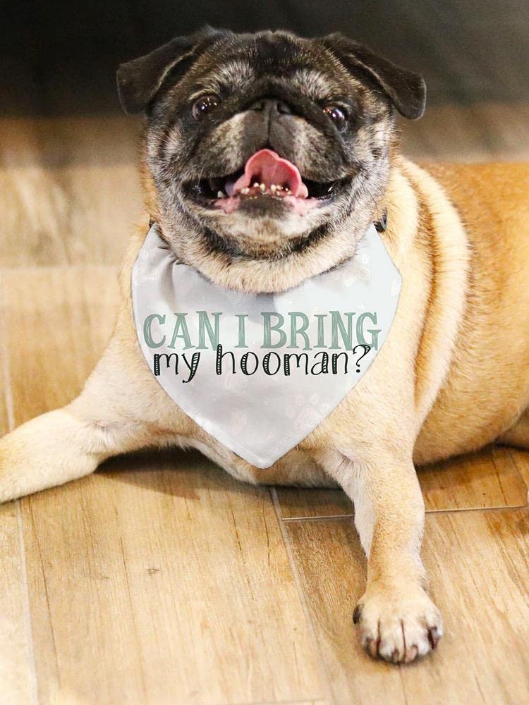 Hooman Pet Bandana - SmartPrintsInk Designs for Dogs & Cats