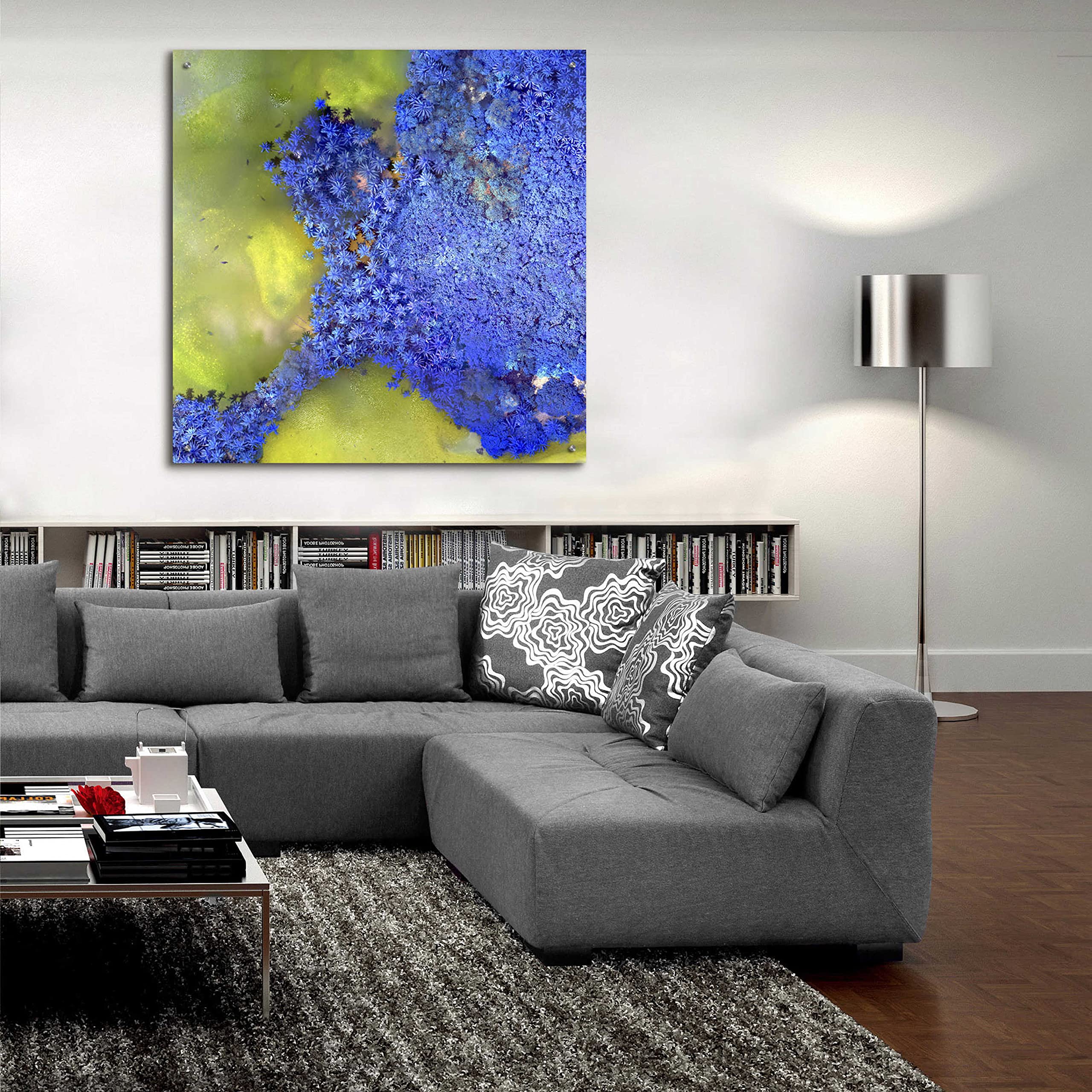 Epic Art 'Earth as Art: Palmyra' - 36x36 Inch Acrylic Glass Wall Decor - Modern Home & Office Wall Art - Perfect for Living Room, Bedroom or Office Decor