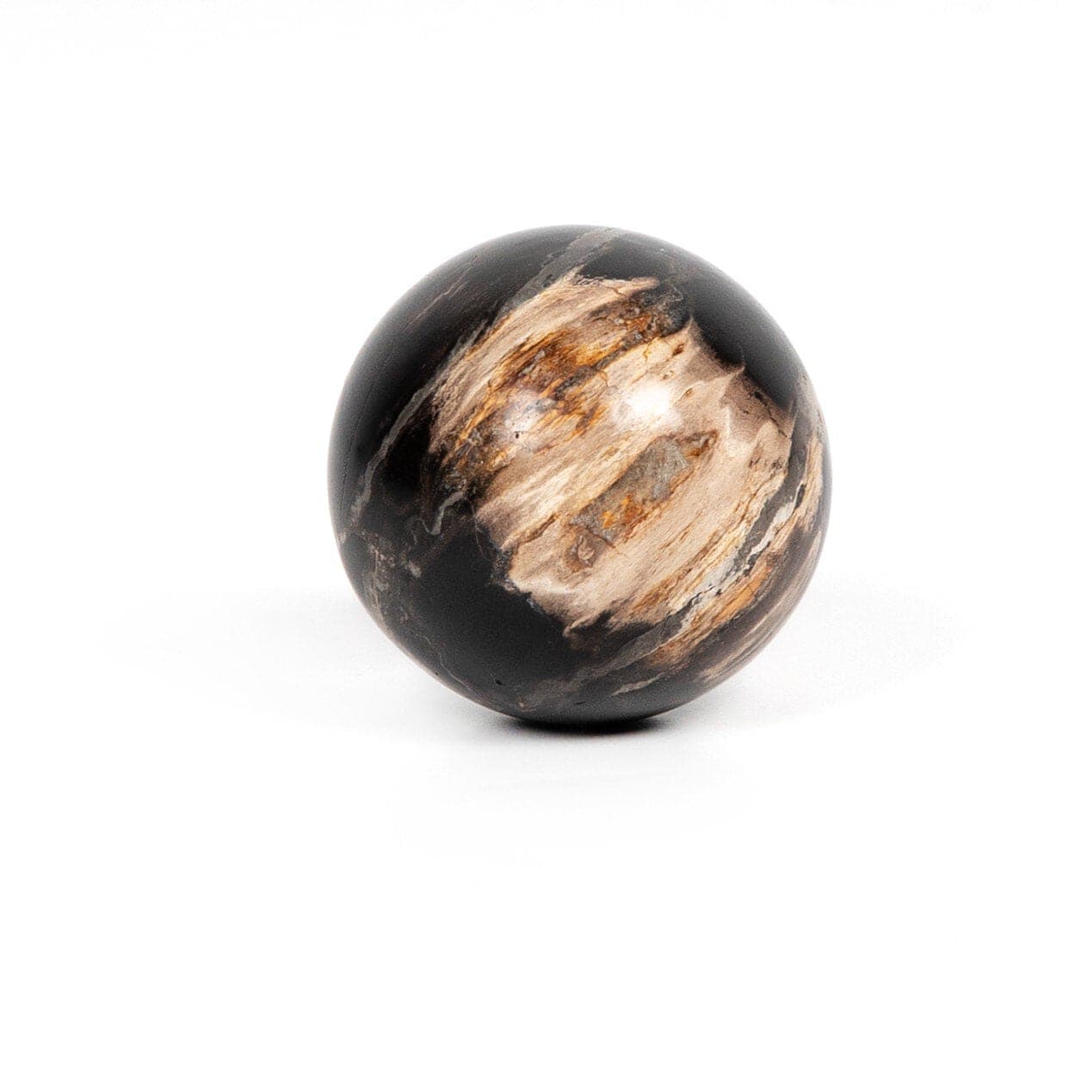 Natural Petrified Wood Balls Set of 3 - Dark Ancient Wood Spheres for Home Decor, Meditation & Feng Shui