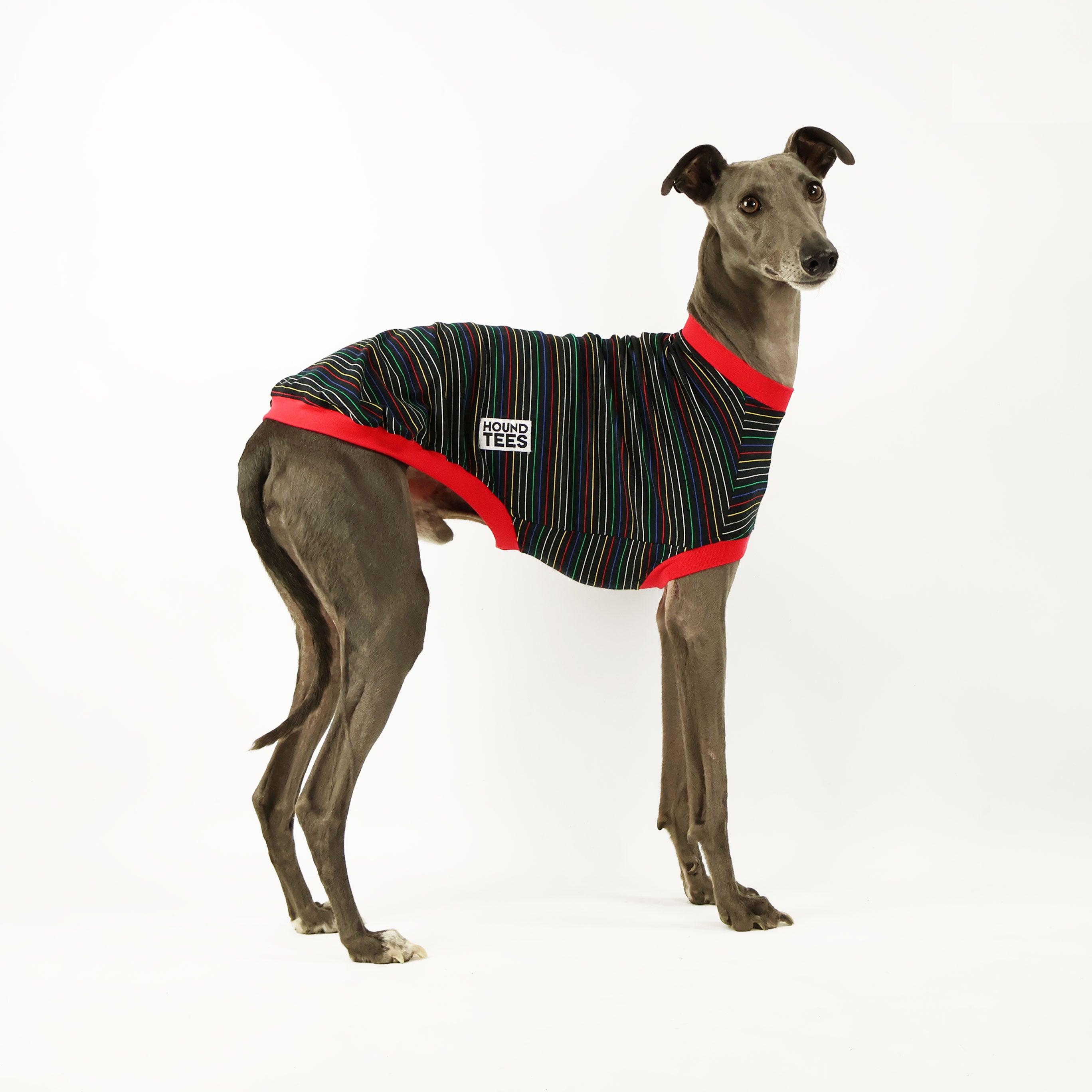 Whippet Dog Christmas Lights Sleeveless T-Shirt - Fun Holiday Pet Apparel for Dog Lovers & Festive Outfits