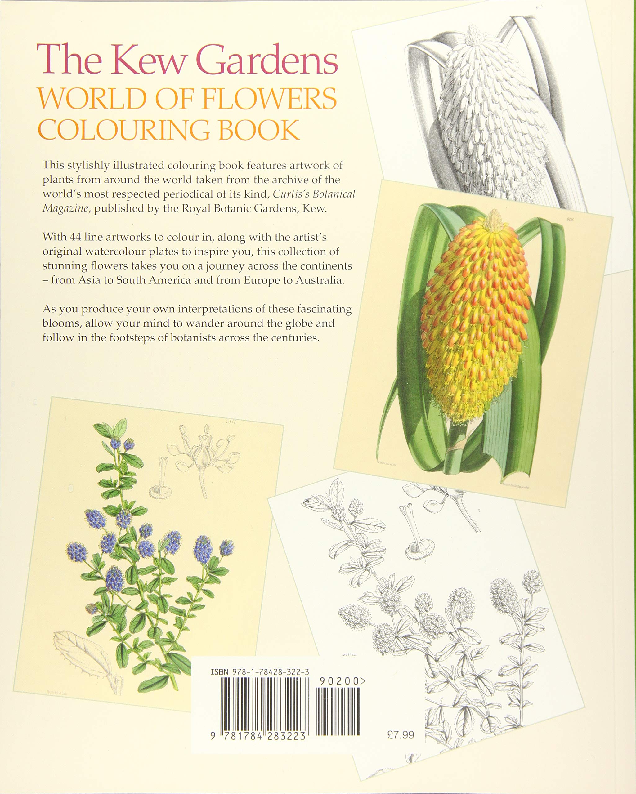 Kew Gardens World of Plants Coloring Book - Botanical Art & Relaxation Activity for Adults & Kids | Perfect for Stress Relief, Mindfulness & Creative Fun